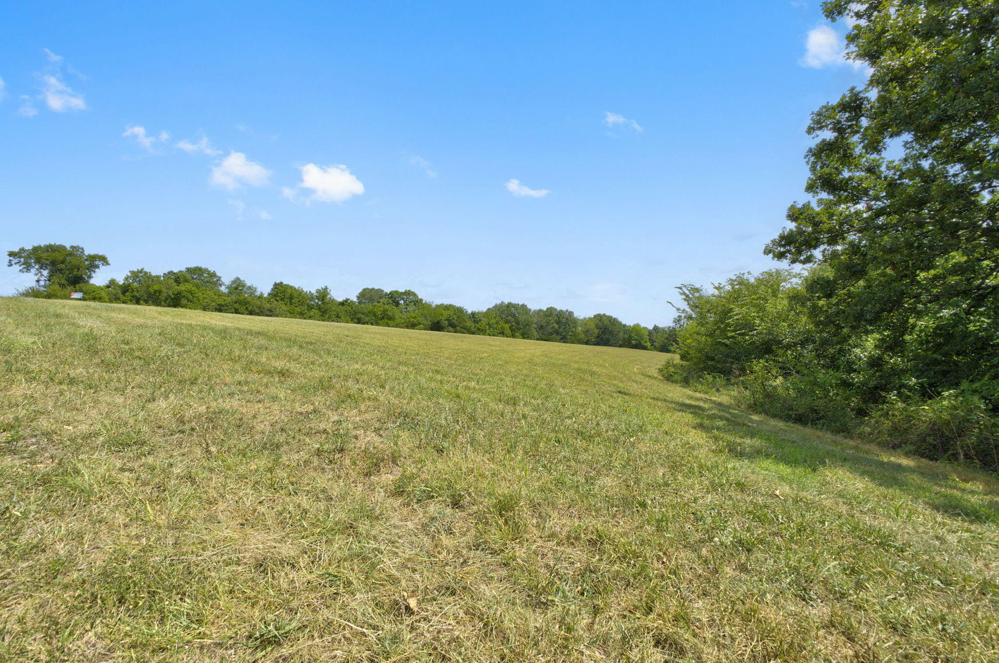 Photo 9 - Land for sale – Tbd  Swinson Drive  Galena, MO