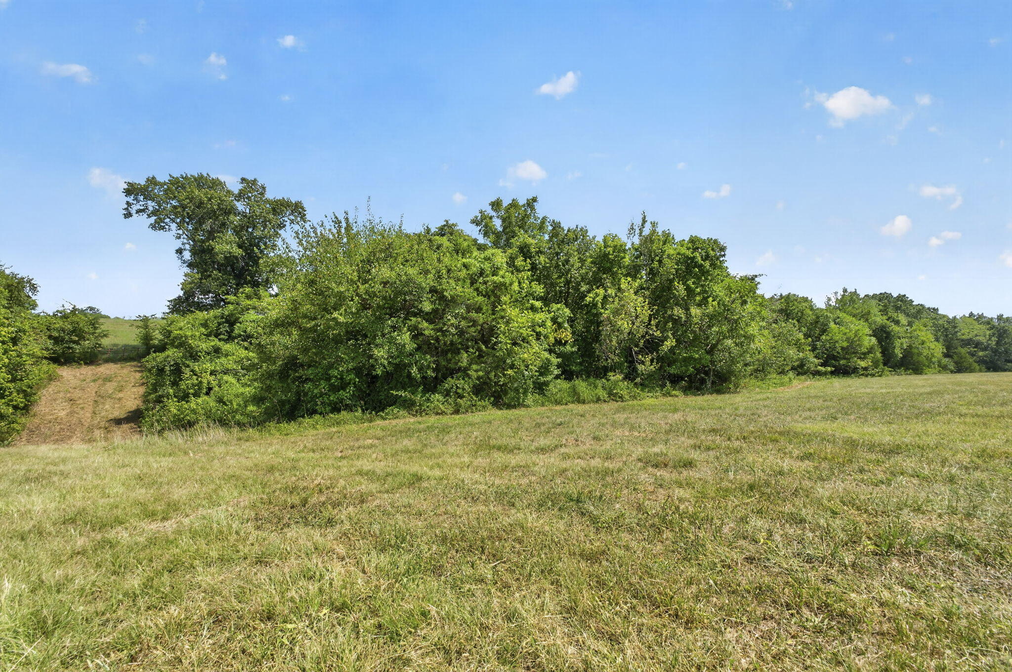 Photo 12 - Land for sale – Tbd  Swinson Drive  Galena, MO