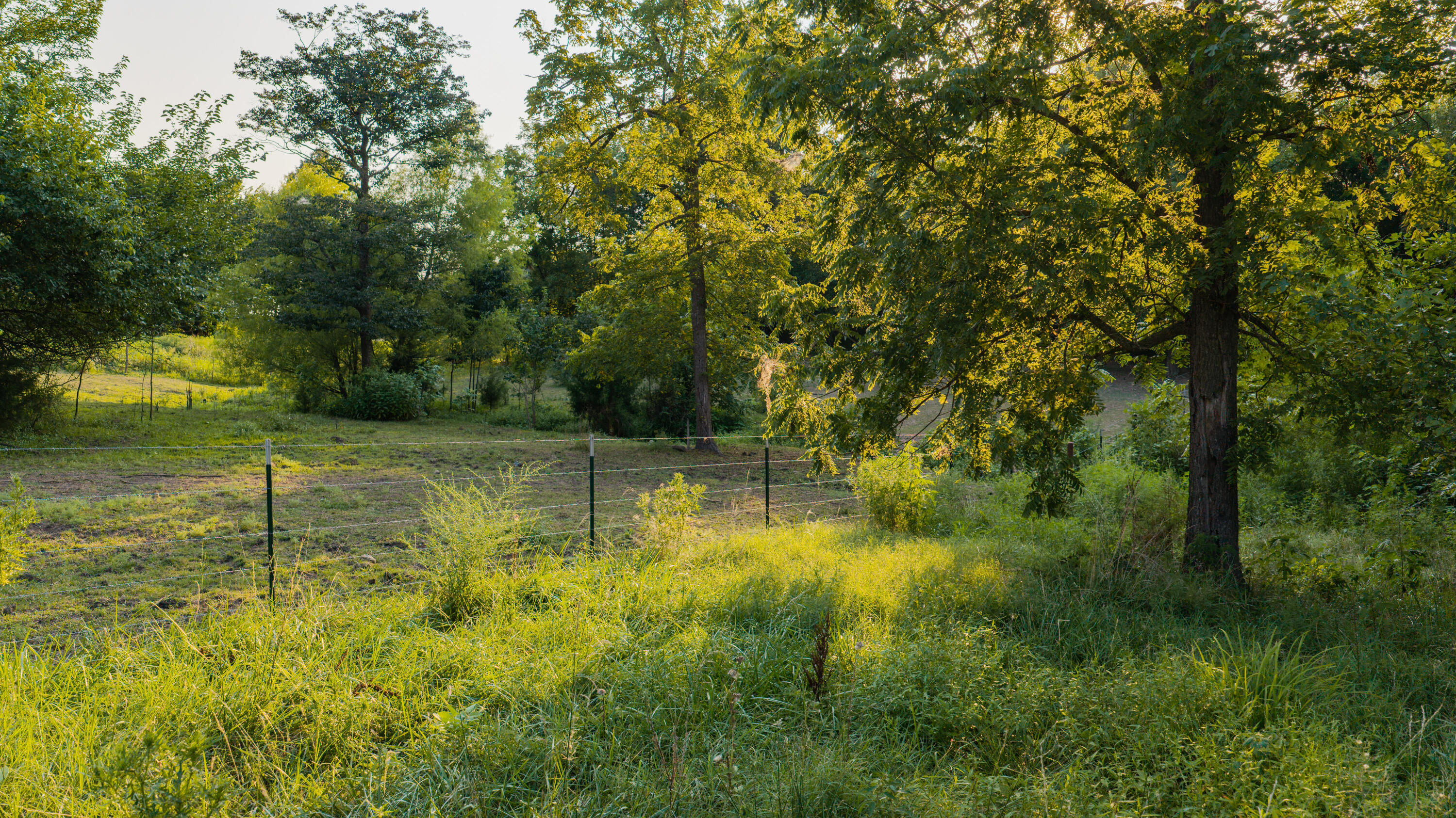 Photo 70 - Residential for sale – 643  Route Ff   Everton, MO