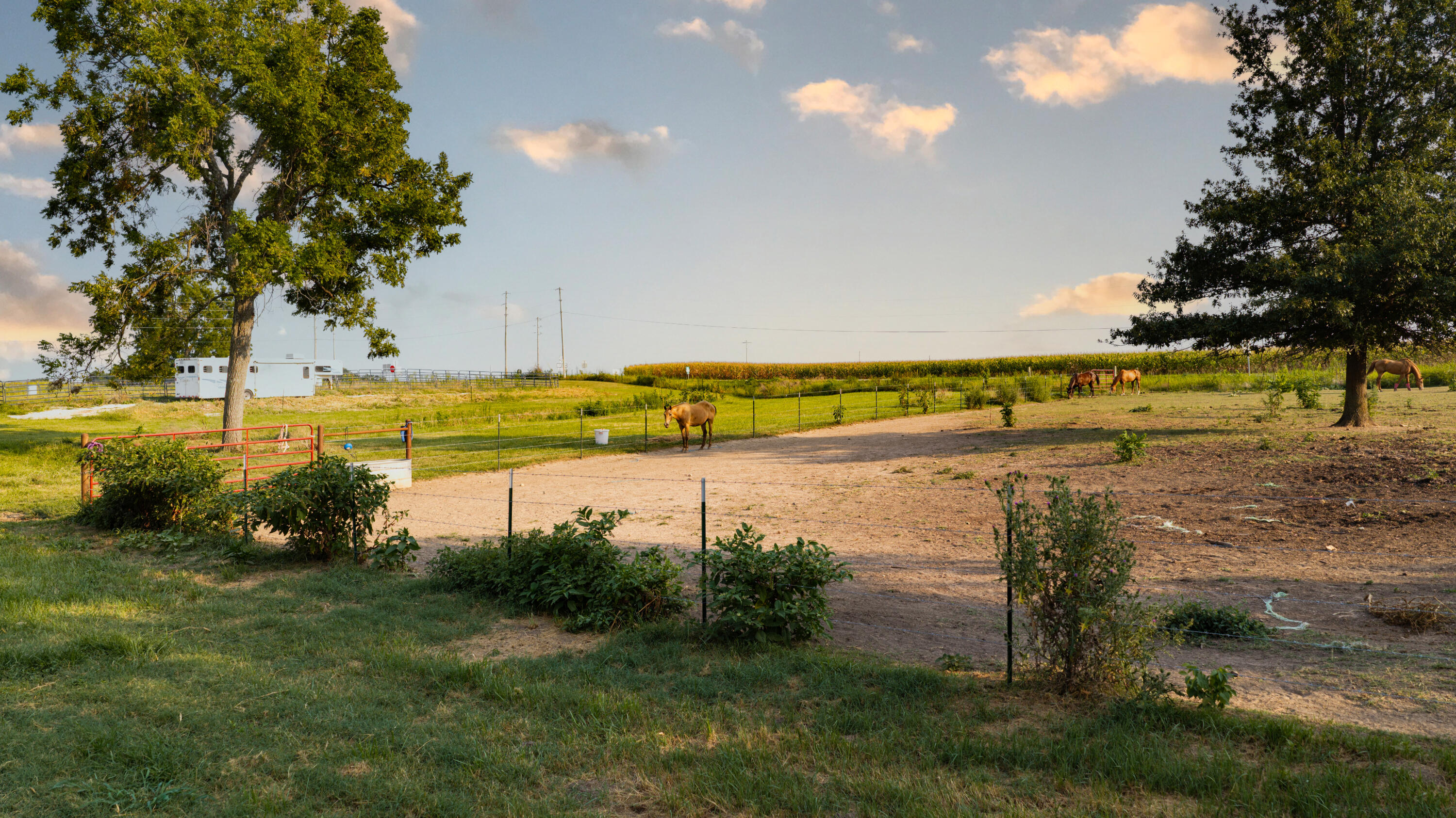 Photo 65 - Residential for sale – 643  Route Ff   Everton, MO