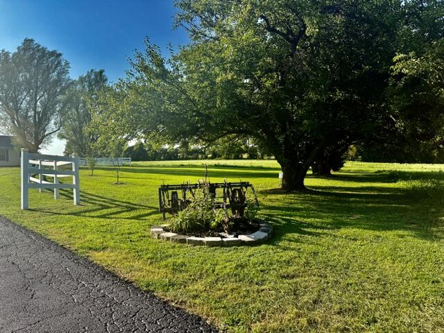 Photo 12 - Farm for sale – 3183  State Highway Mm   Mountain Grove, MO