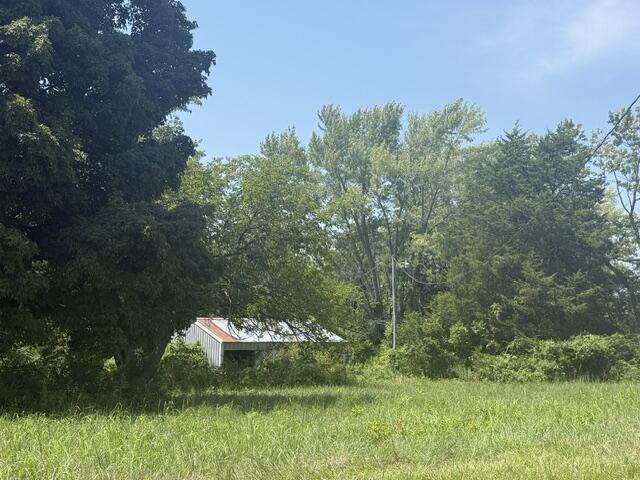 Photo 49 - Farm for sale – 3183  State Highway Mm   Mountain Grove, MO