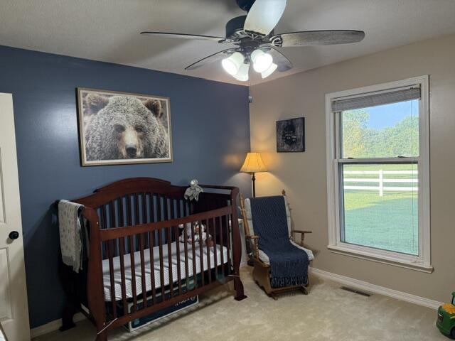 Photo 37 - Farm for sale – 3183  State Highway Mm   Mountain Grove, MO