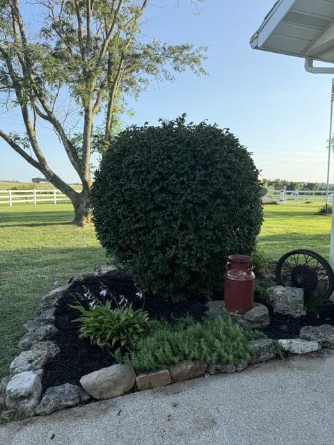 Photo 14 - Farm for sale – 3183  State Highway Mm   Mountain Grove, MO