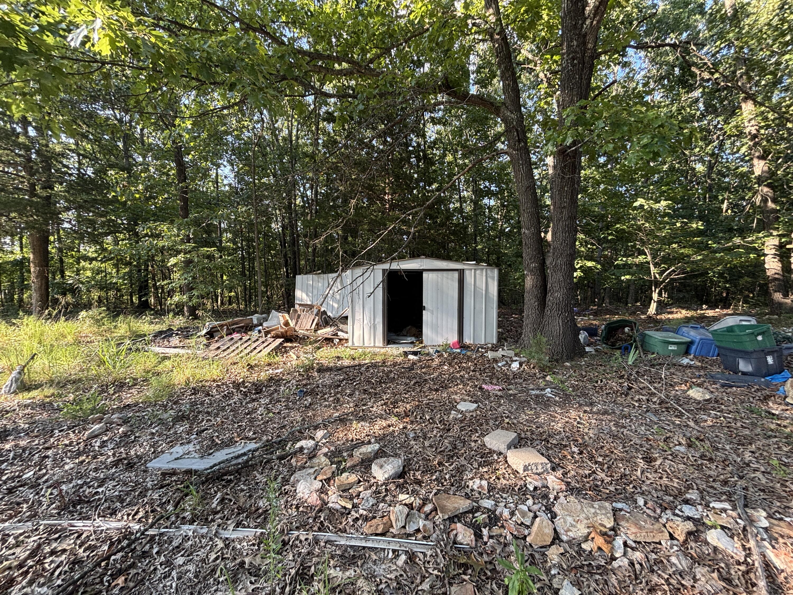 Photo 4 - Land for sale – 35377  County Road W-264   Vanzant, MO
