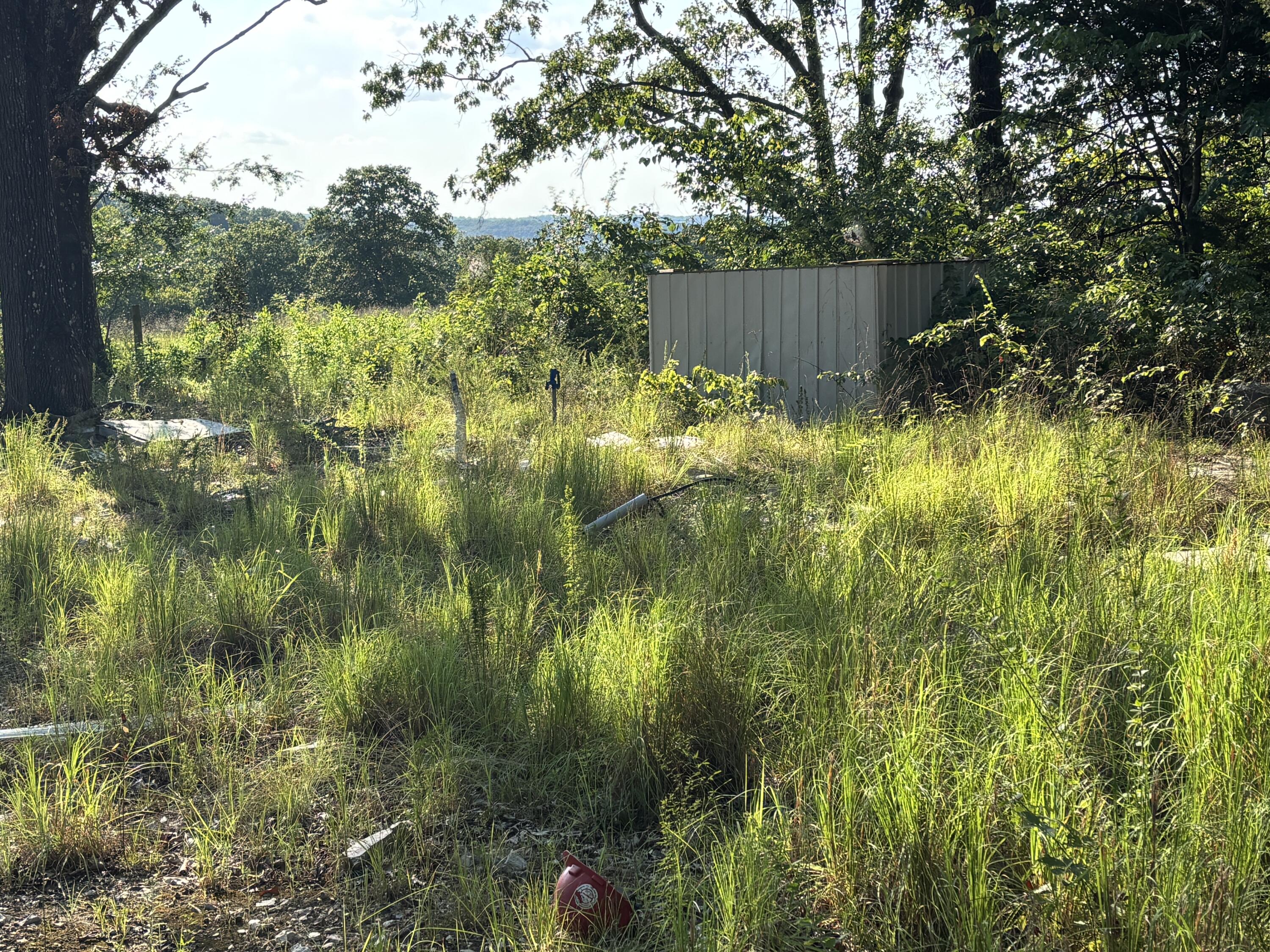 Photo 6 - Land for sale – 35377  County Road W-264   Vanzant, MO
