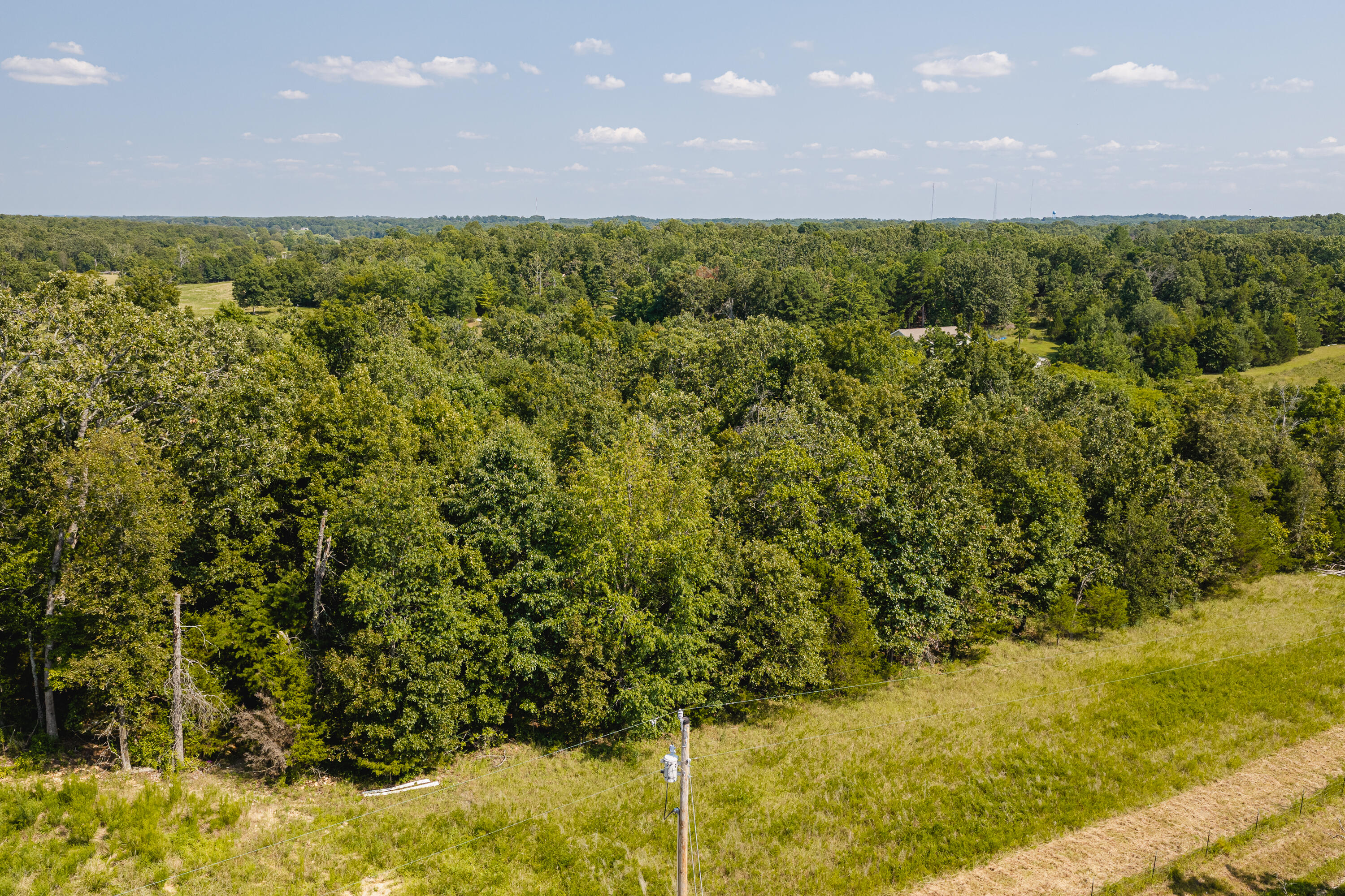 Photo 10 - Land for sale – 000  County Road 6310   West Plains, MO