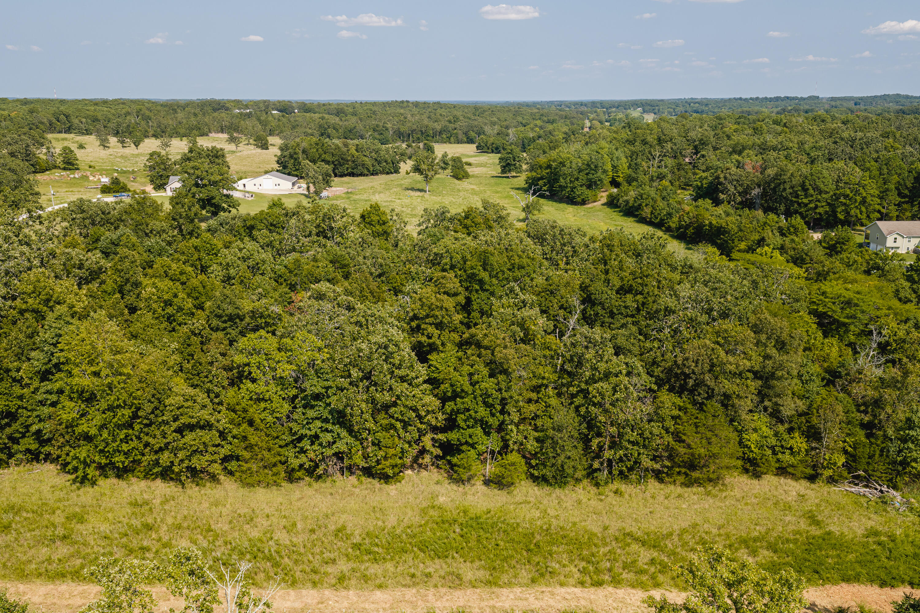 Photo 11 - Land for sale – 000  County Road 6310   West Plains, MO