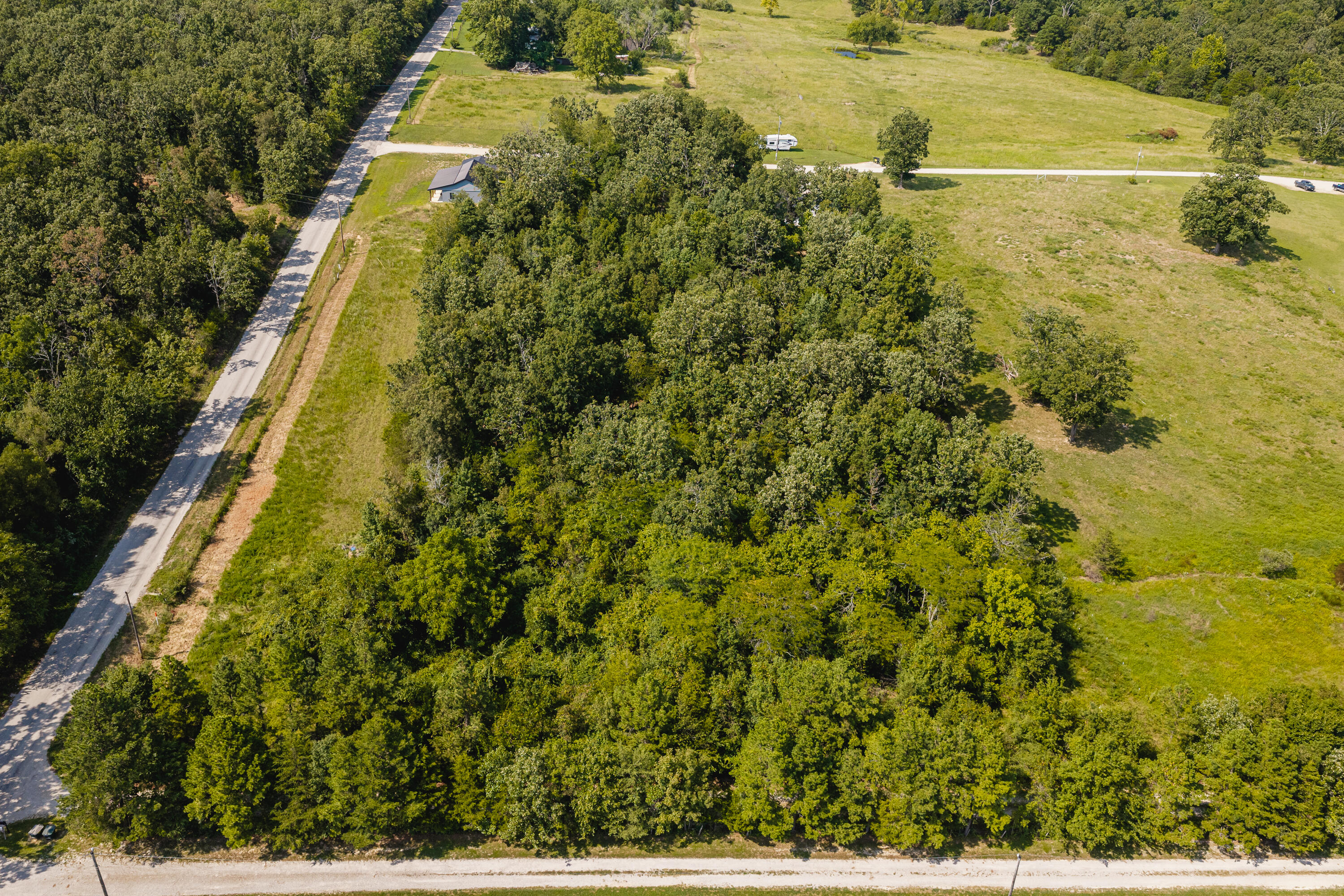 Photo 5 - Land for sale – 000  County Road 6310   West Plains, MO