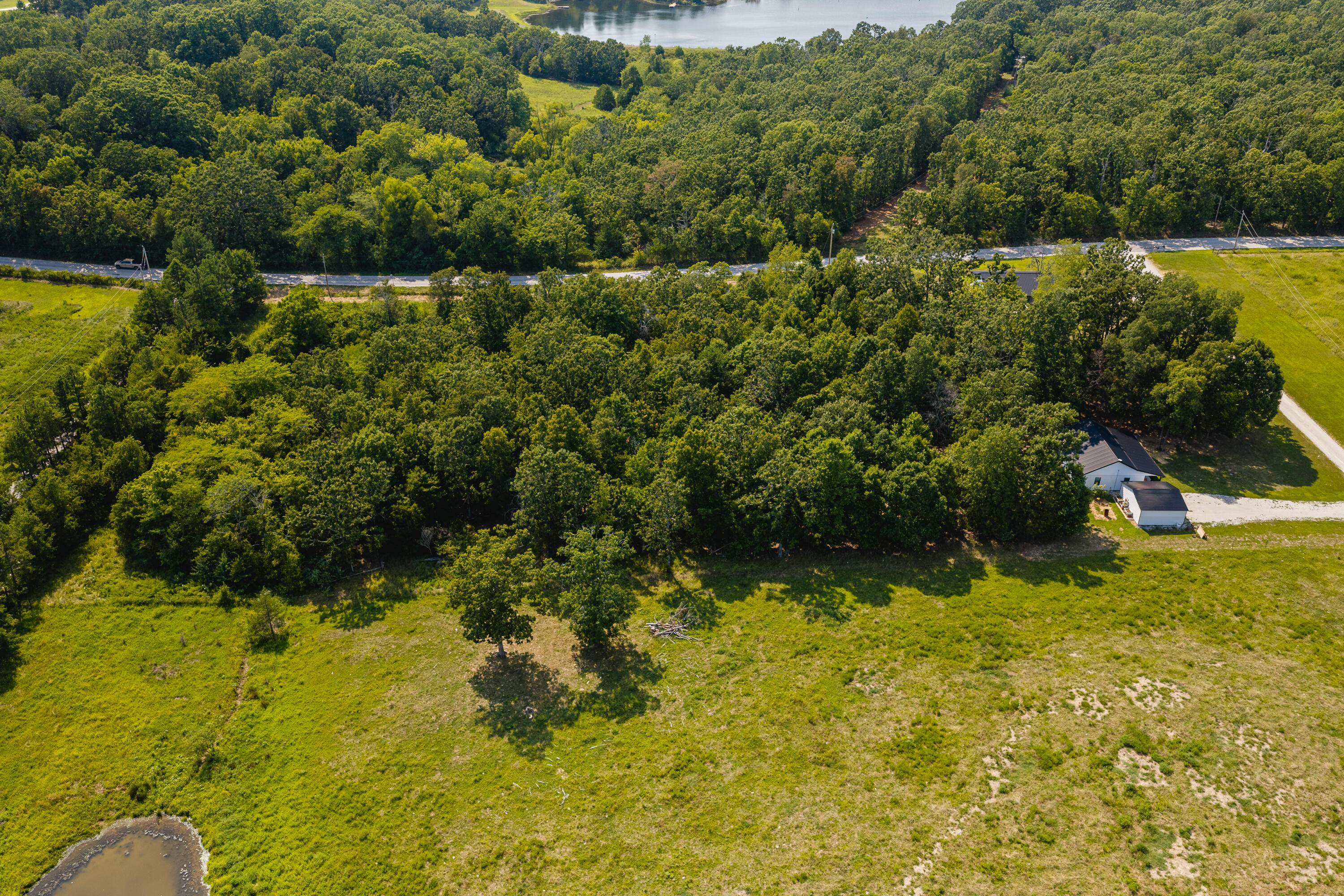 Photo 7 - Land for sale – 000  County Road 6310   West Plains, MO
