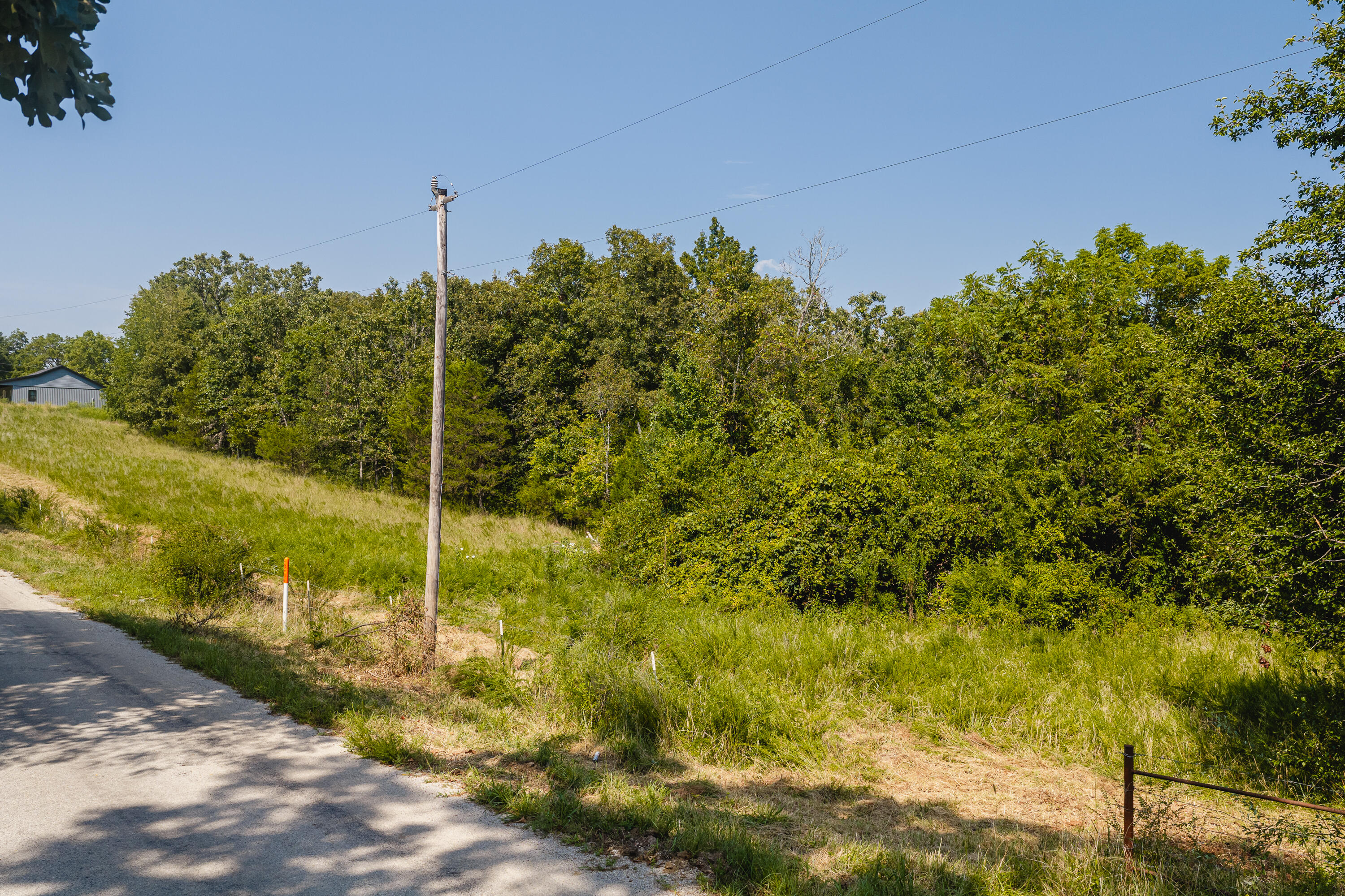 Photo 3 - Land for sale – 000  County Road 6310   West Plains, MO