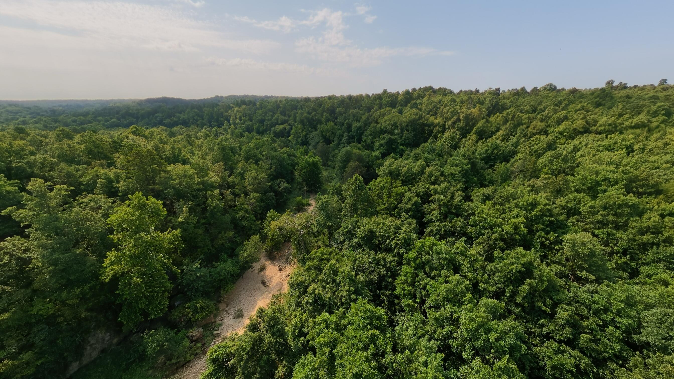Photo 27 - Land for sale – 000  County Road 2661   Mountain View, MO