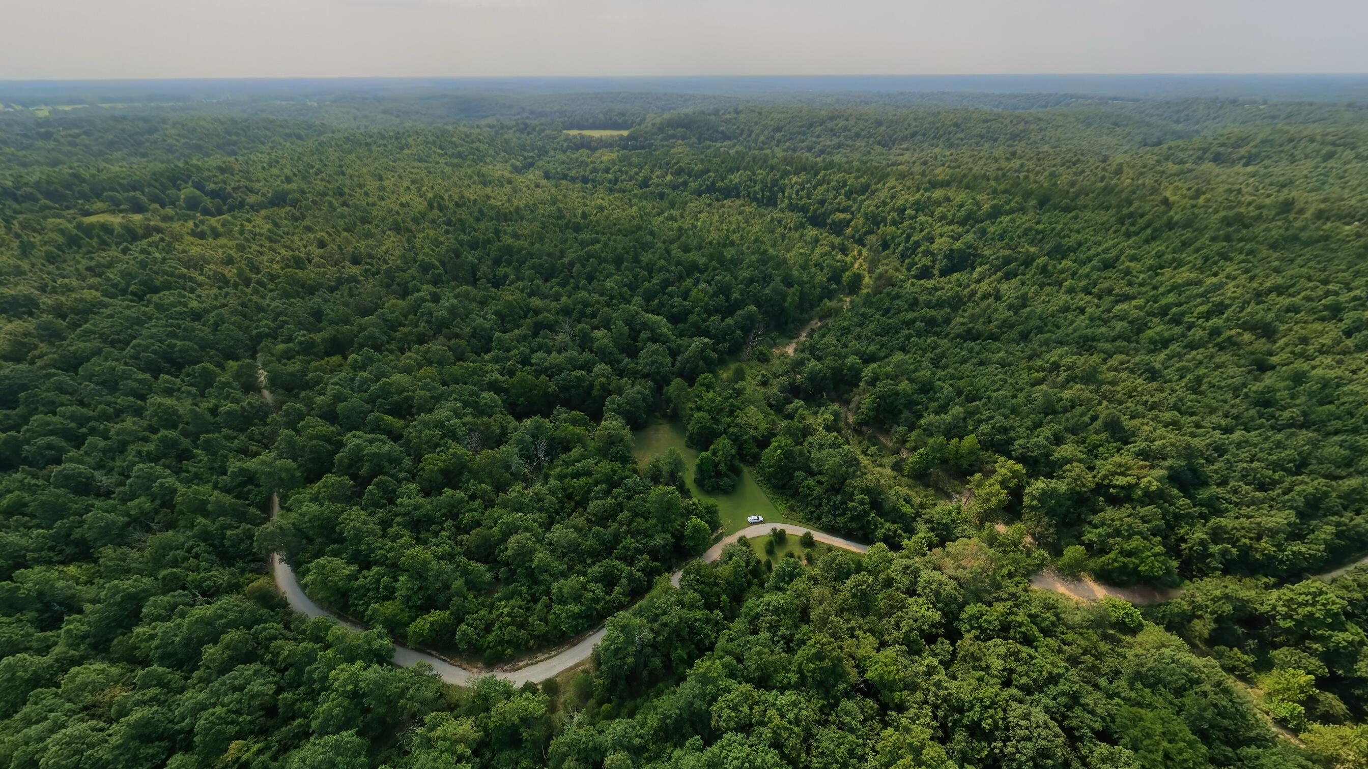 Photo 47 - Land for sale – 000  County Road 2661   Mountain View, MO