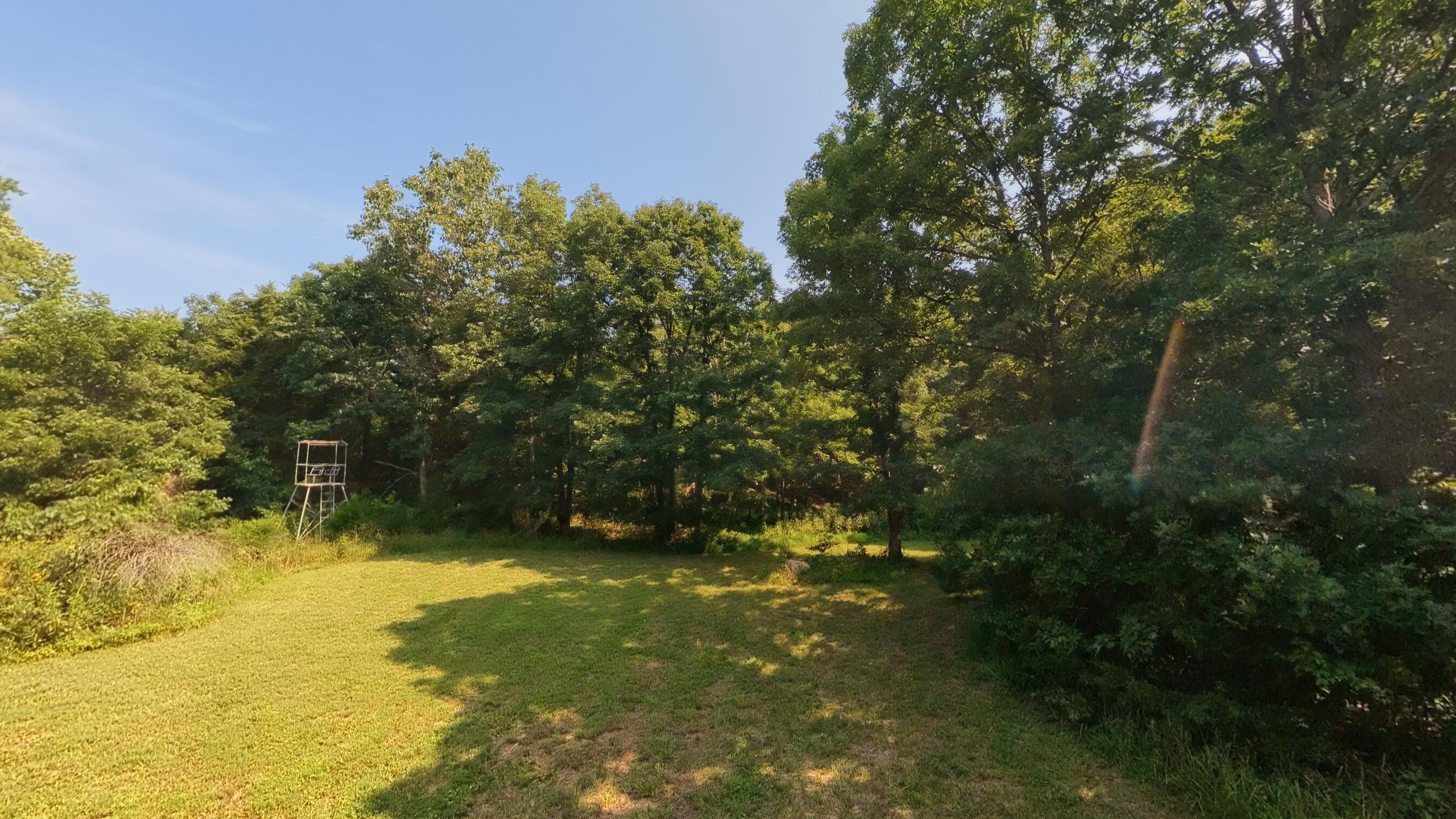 Photo 32 - Land for sale – 000  County Road 2661   Mountain View, MO