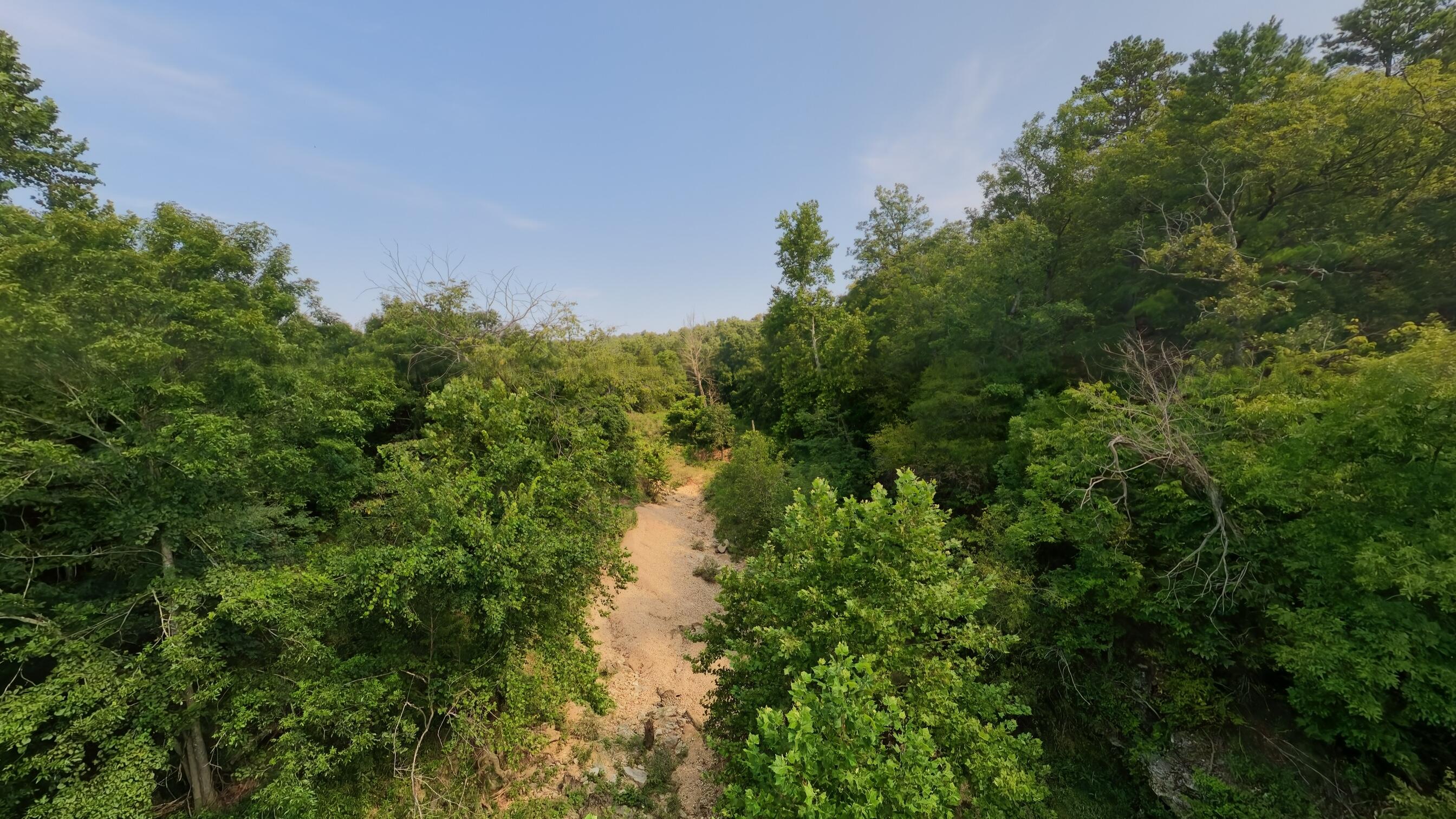 Photo 24 - Land for sale – 000  County Road 2661   Mountain View, MO