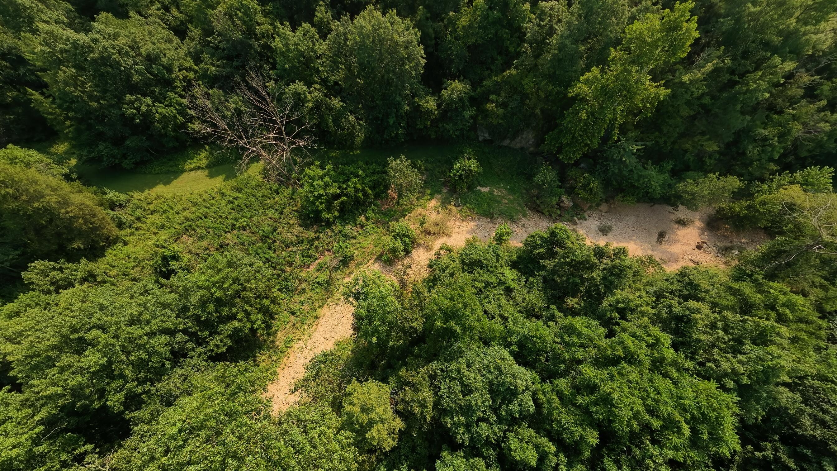 Photo 26 - Land for sale – 000  County Road 2661   Mountain View, MO