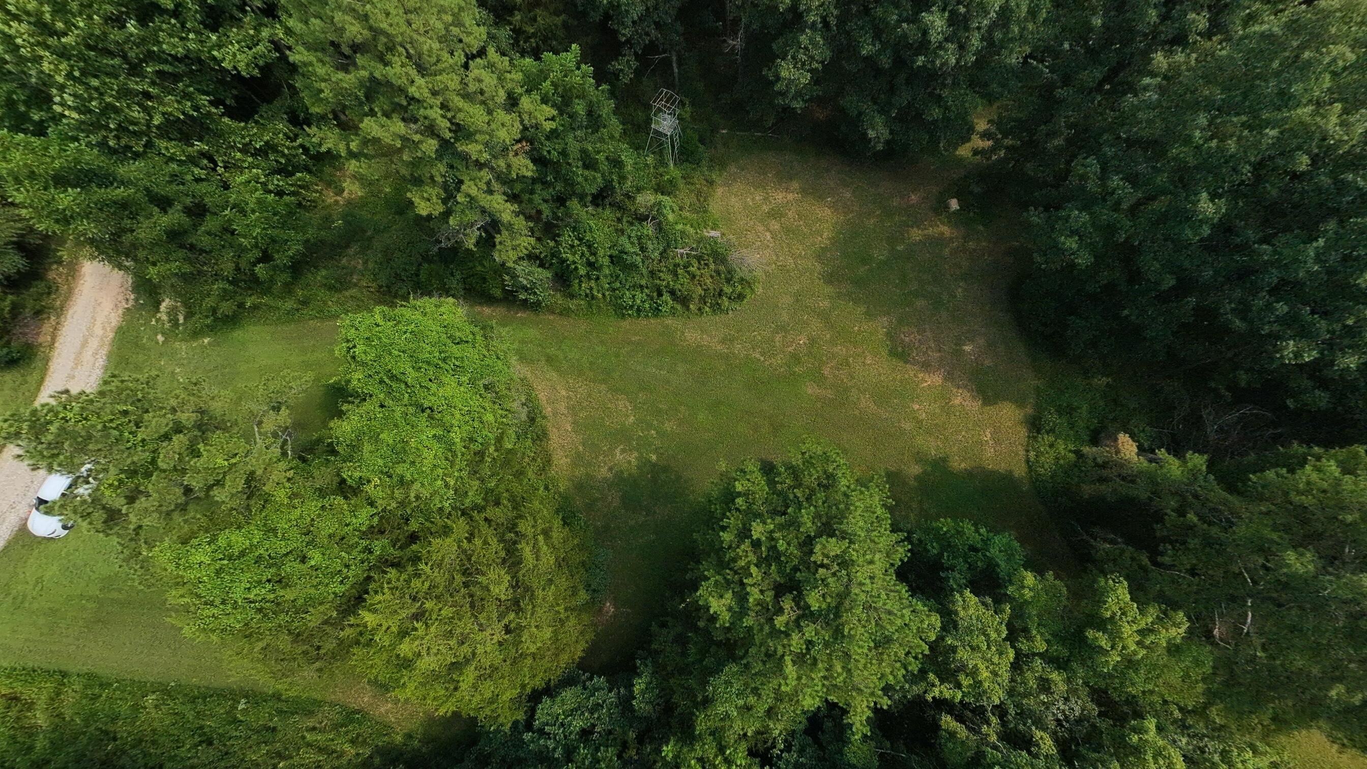 Photo 10 - Land for sale – 000  County Road 2661   Mountain View, MO