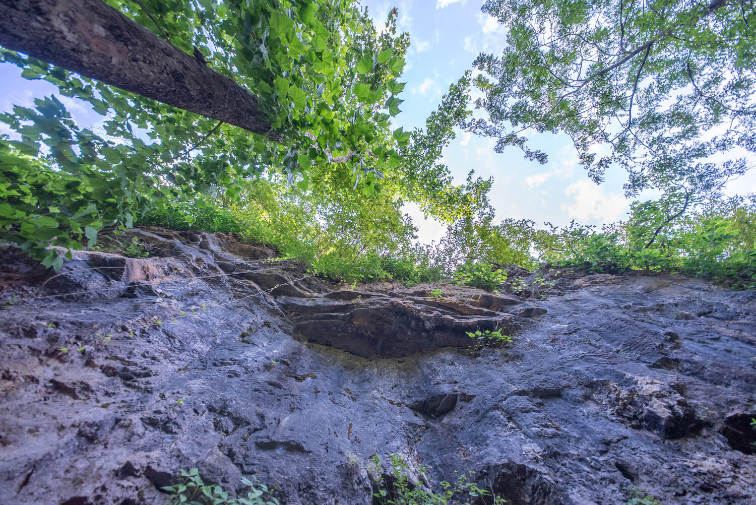 Photo 7 - Land for sale – 000  County Road 2661   Mountain View, MO