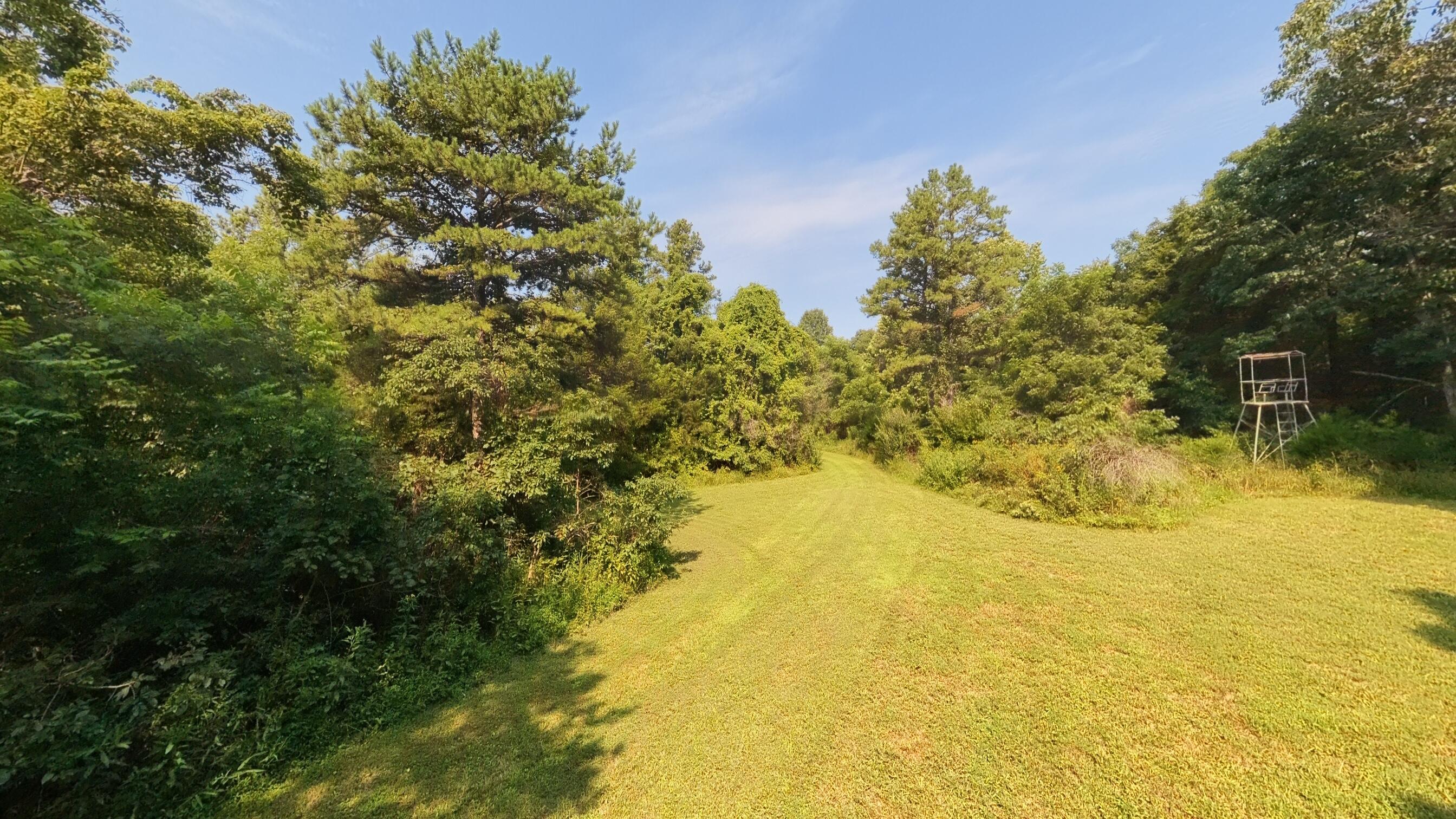 Photo 33 - Land for sale – 000  County Road 2661   Mountain View, MO