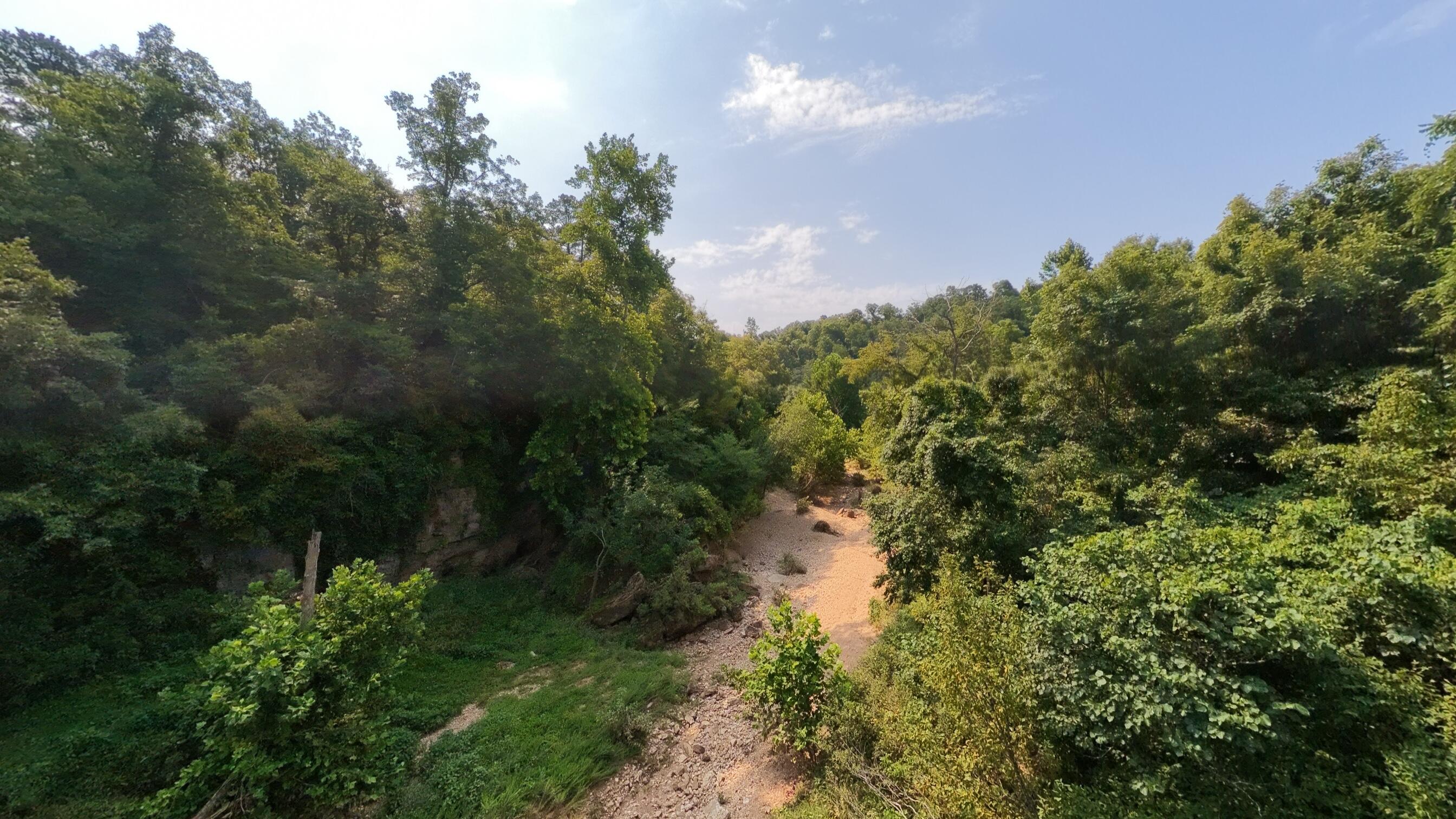 Photo 17 - Land for sale – 000  County Road 2661   Mountain View, MO