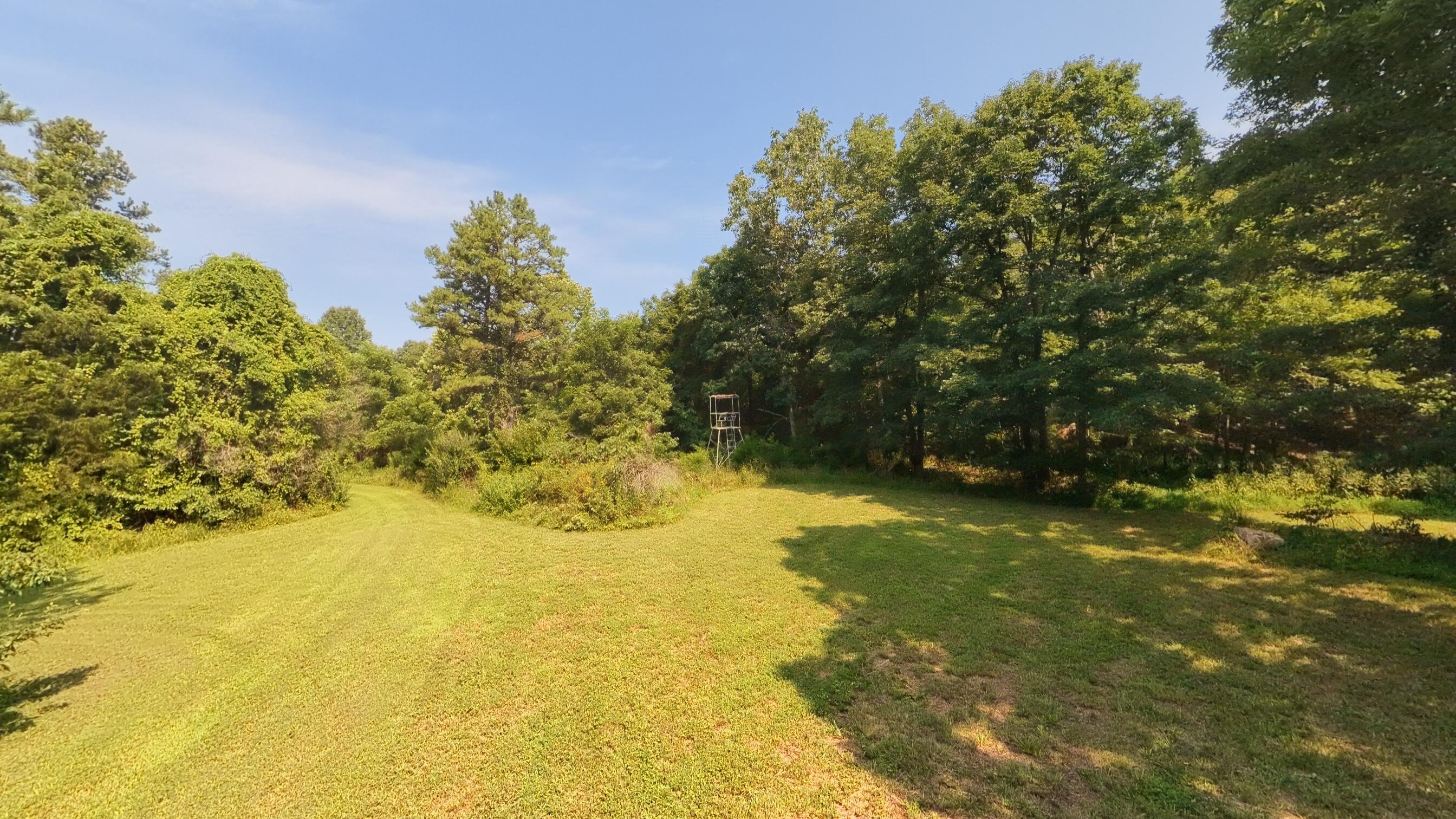 Photo 12 - Land for sale – 000  County Road 2661   Mountain View, MO