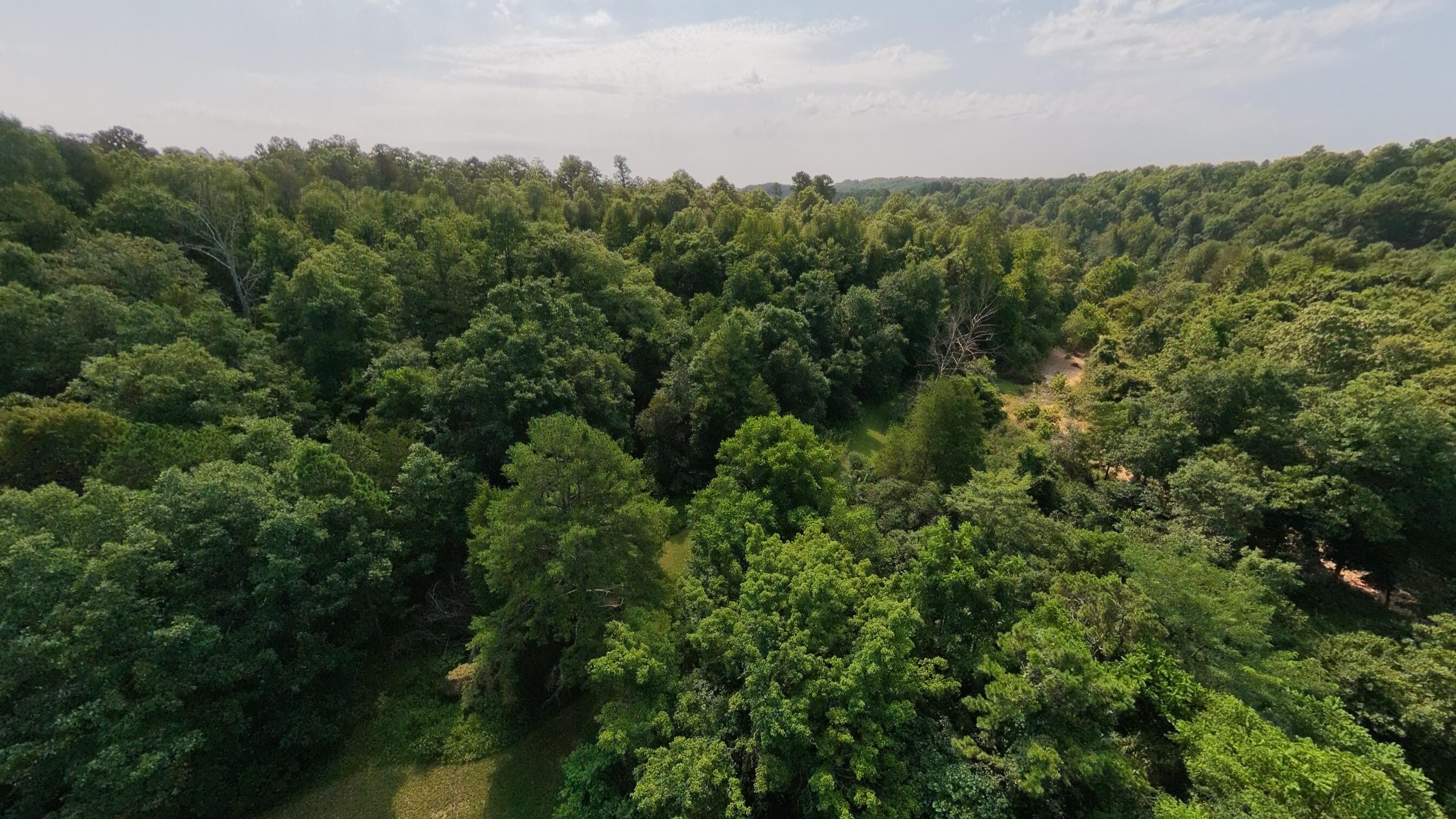 Photo 48 - Land for sale – 000  County Road 2661   Mountain View, MO