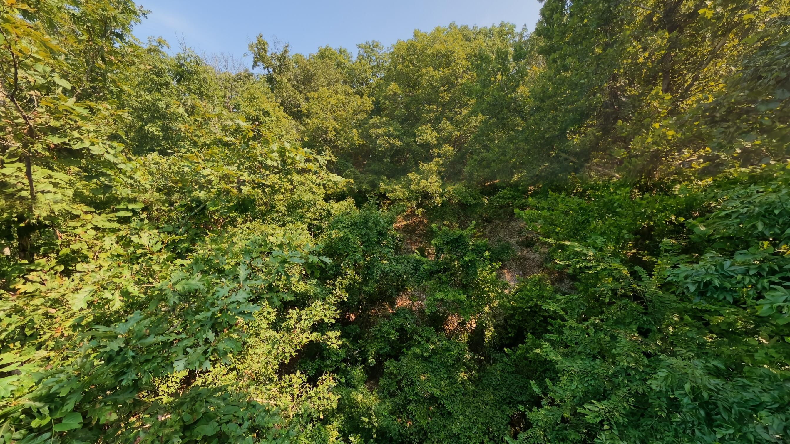 Photo 38 - Land for sale – 000  County Road 2661   Mountain View, MO