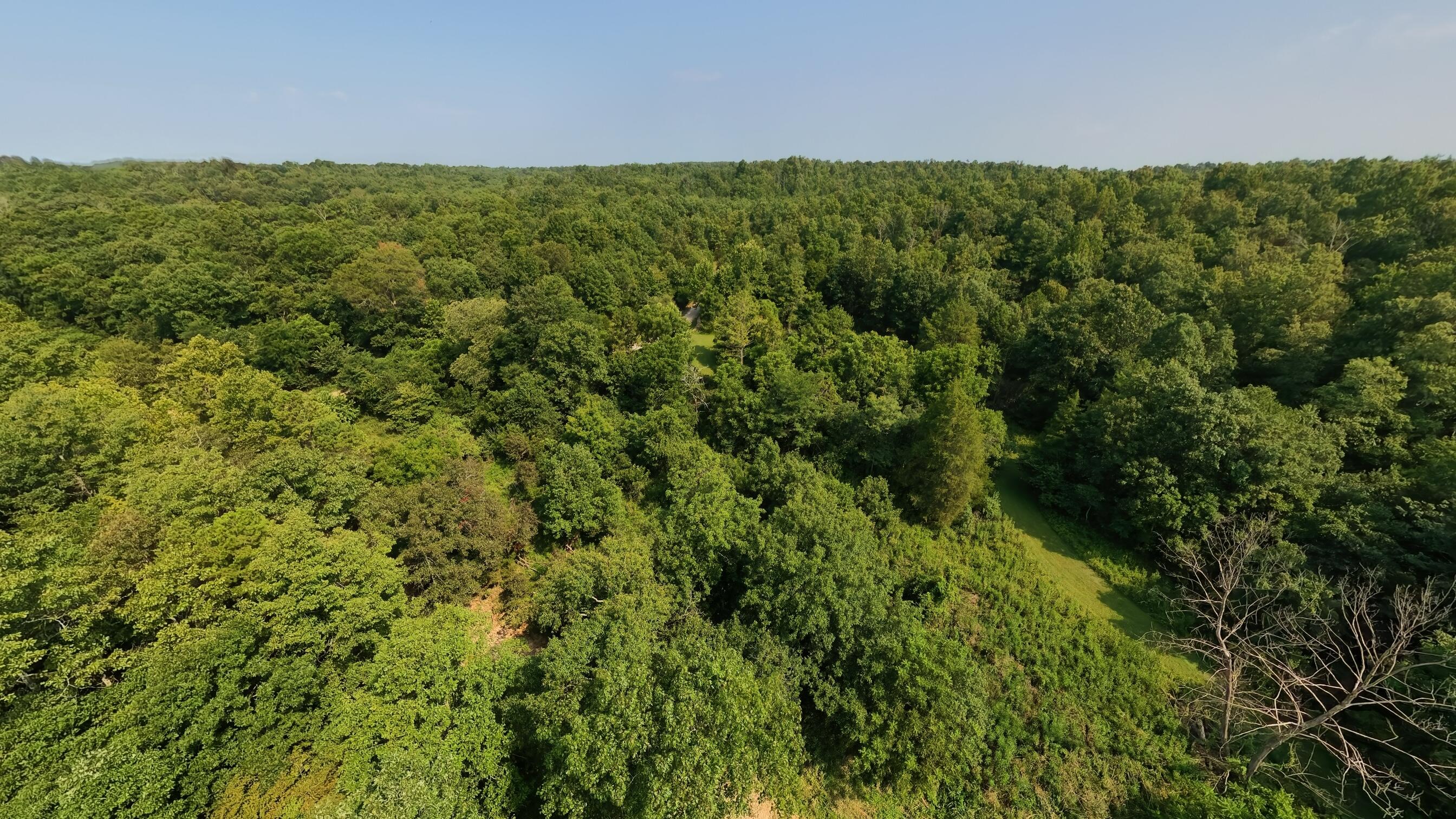 Photo 28 - Land for sale – 000  County Road 2661   Mountain View, MO