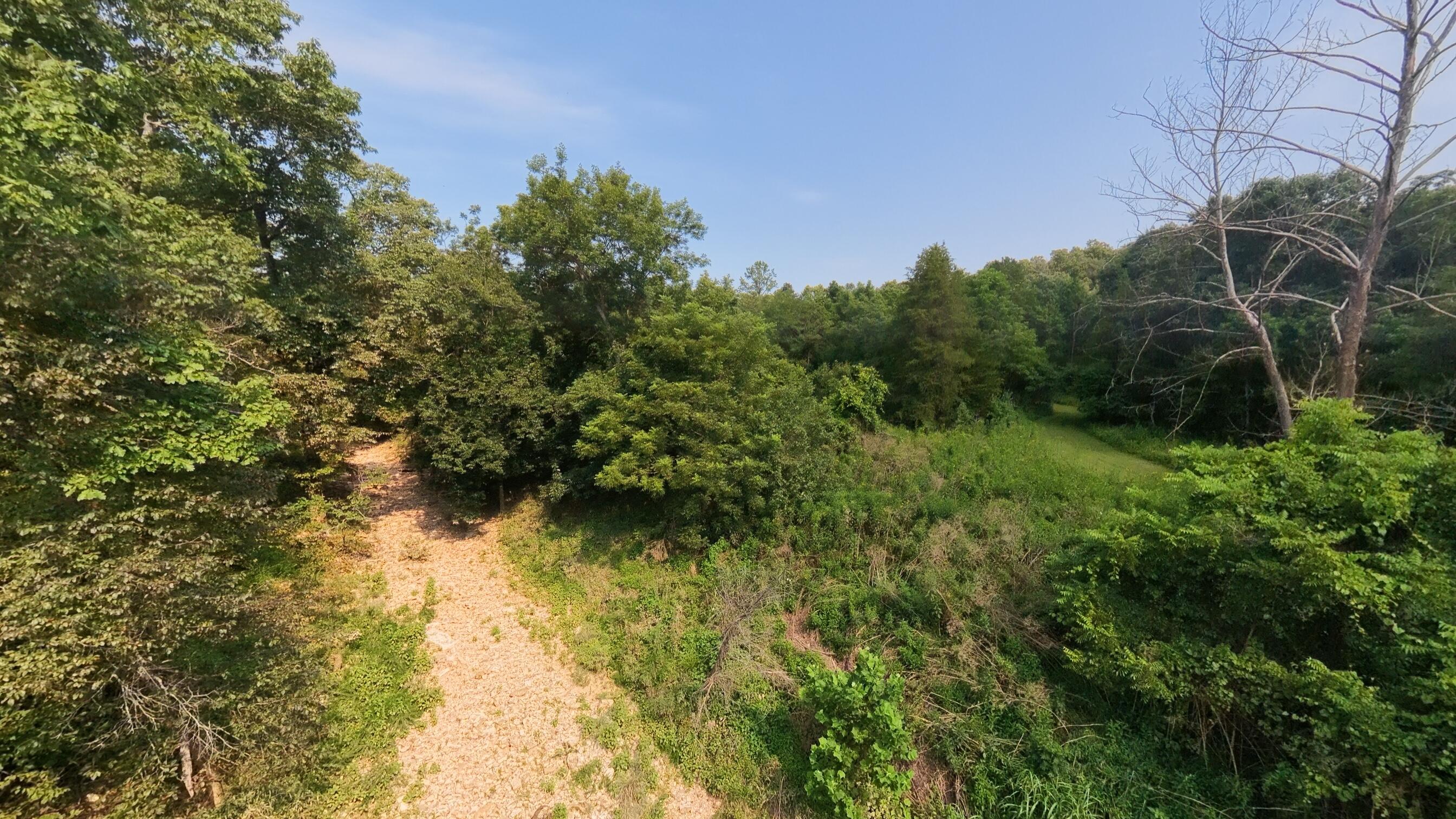 Photo 18 - Land for sale – 000  County Road 2661   Mountain View, MO