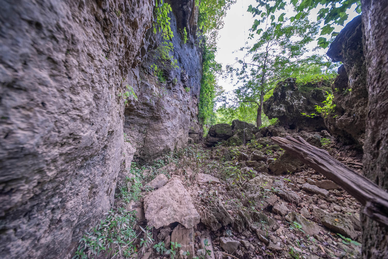 Photo 3 - Land for sale – 000  County Road 2661   Mountain View, MO