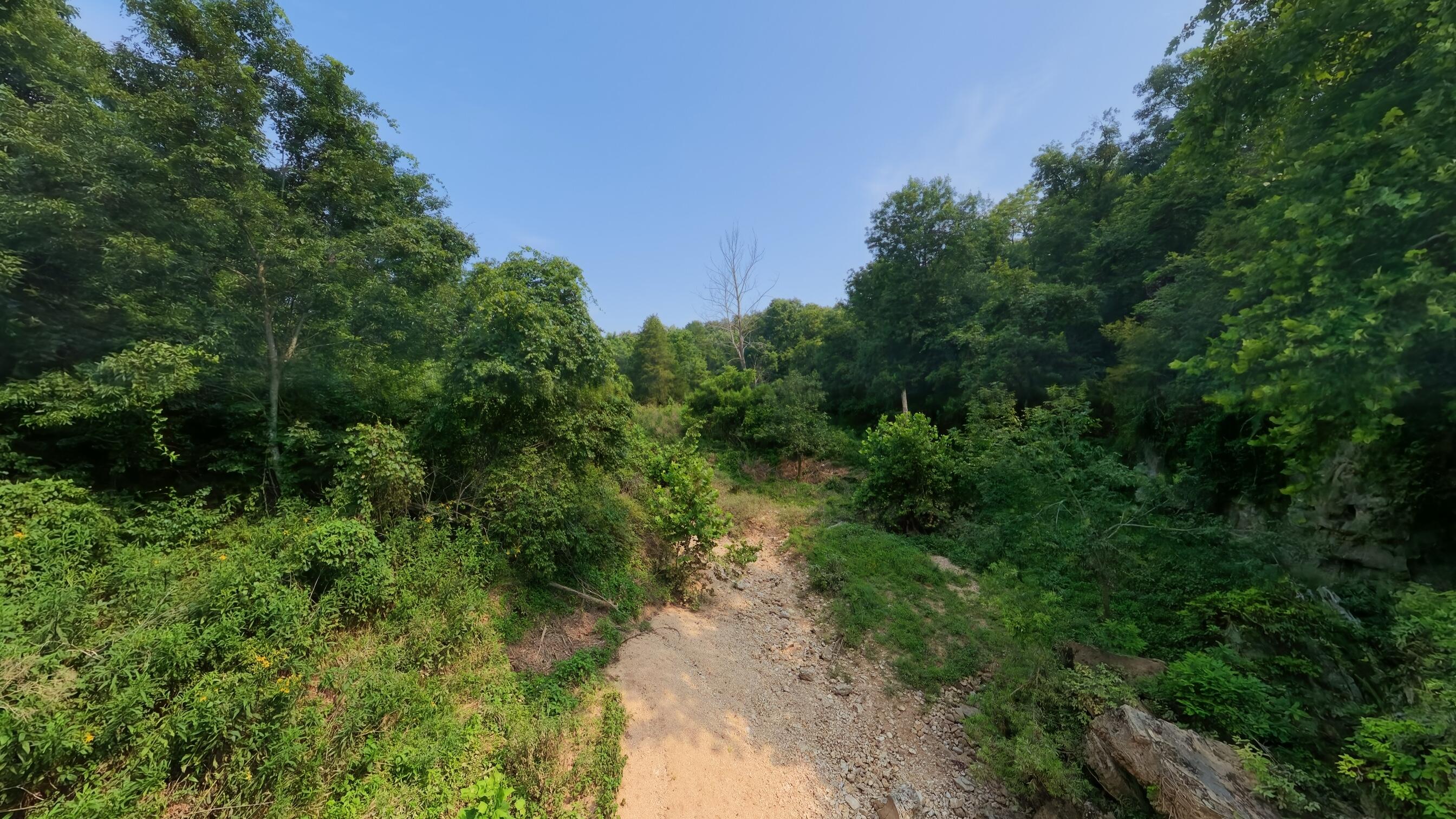 Photo 20 - Land for sale – 000  County Road 2661   Mountain View, MO