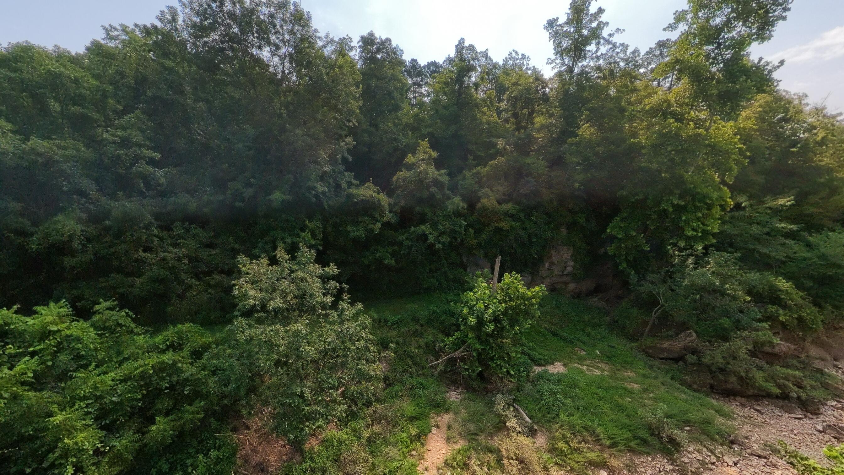 Photo 19 - Land for sale – 000  County Road 2661   Mountain View, MO