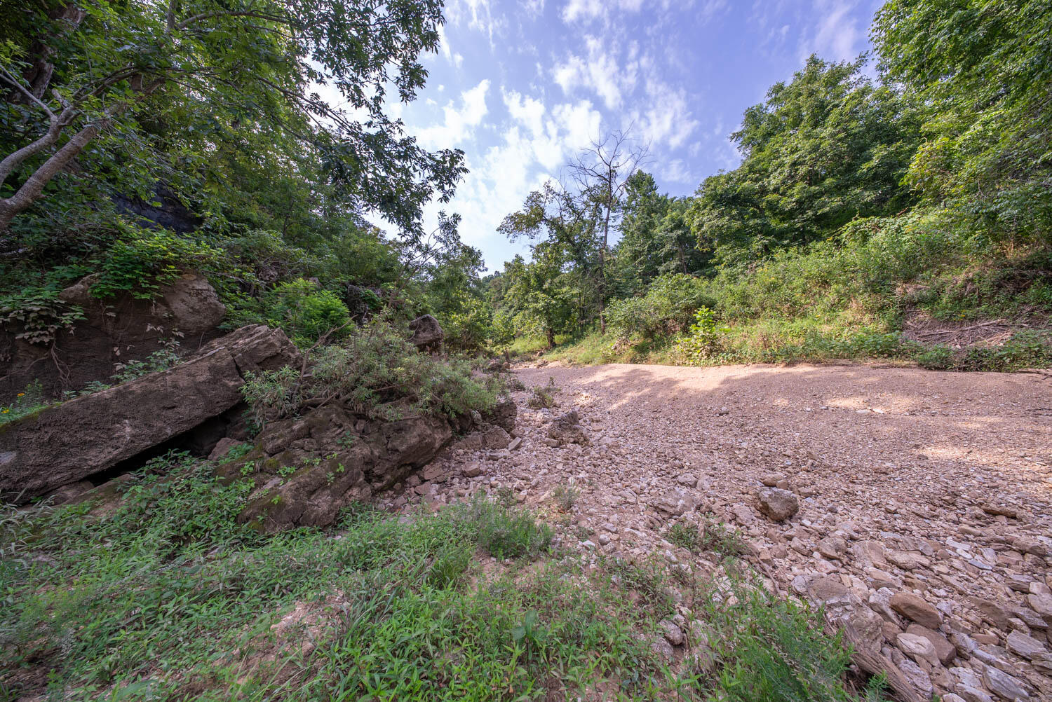 Photo 43 - Land for sale – 000  County Road 2661   Mountain View, MO