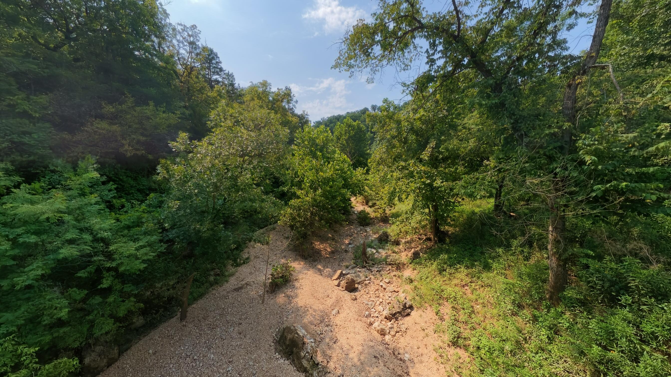 Photo 21 - Land for sale – 000  County Road 2661   Mountain View, MO