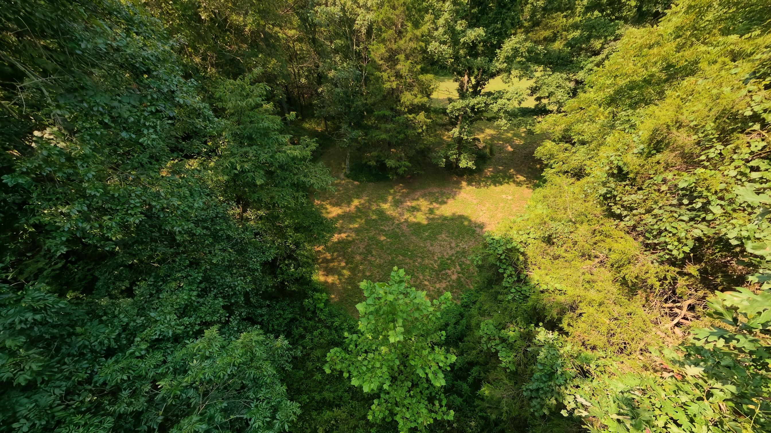 Photo 37 - Land for sale – 000  County Road 2661   Mountain View, MO