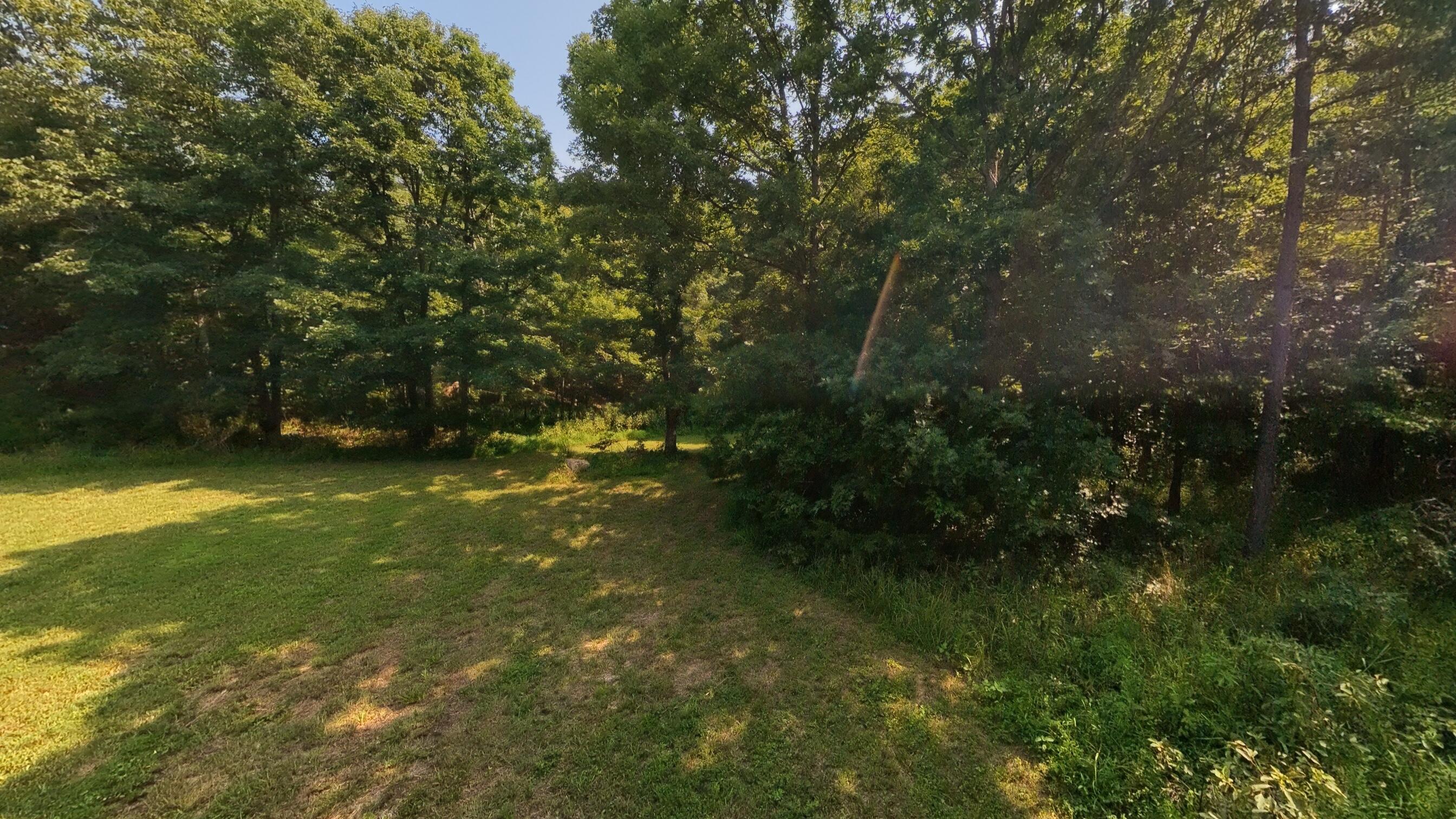 Photo 36 - Land for sale – 000  County Road 2661   Mountain View, MO