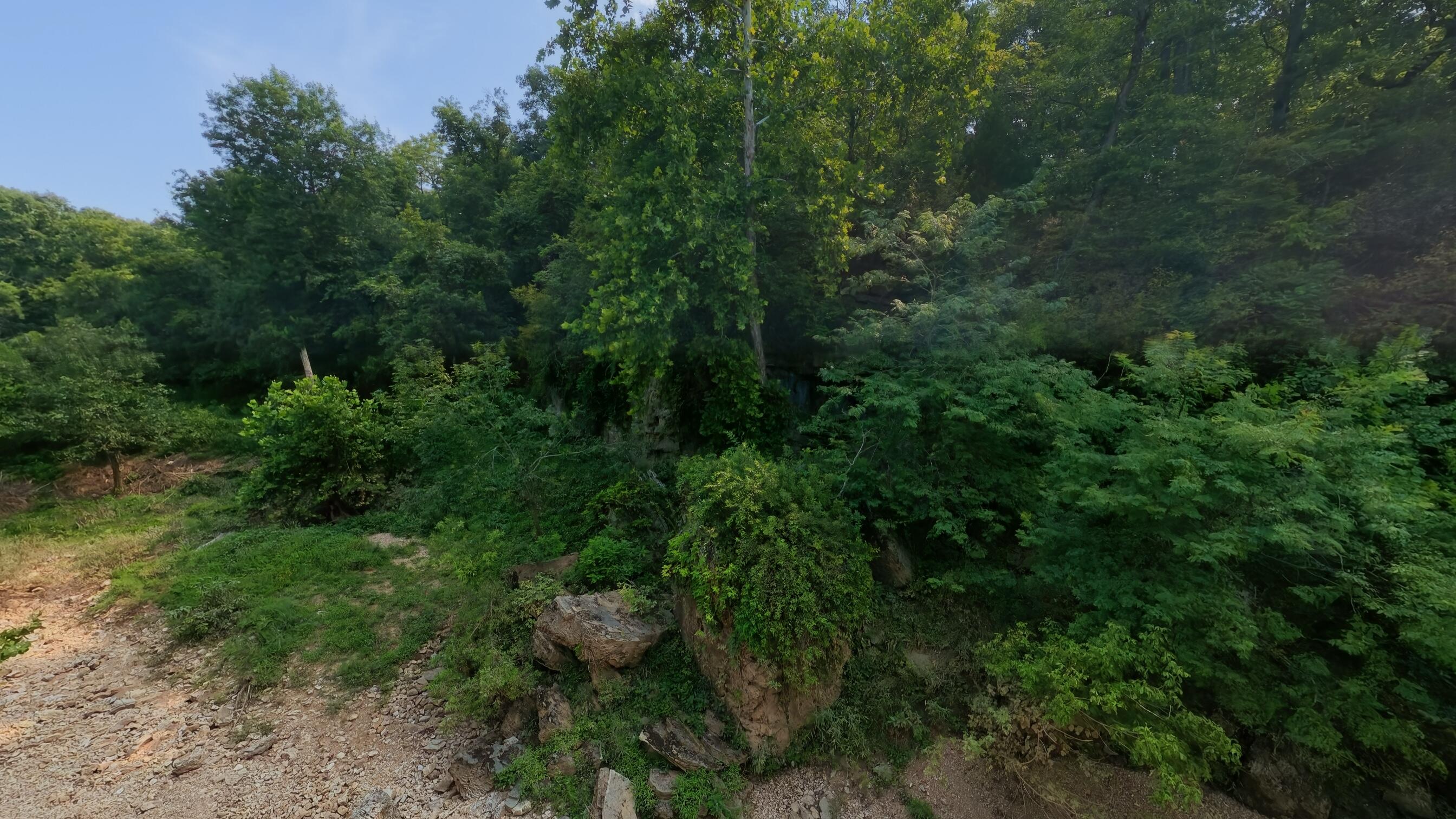 Photo 23 - Land for sale – 000  County Road 2661   Mountain View, MO
