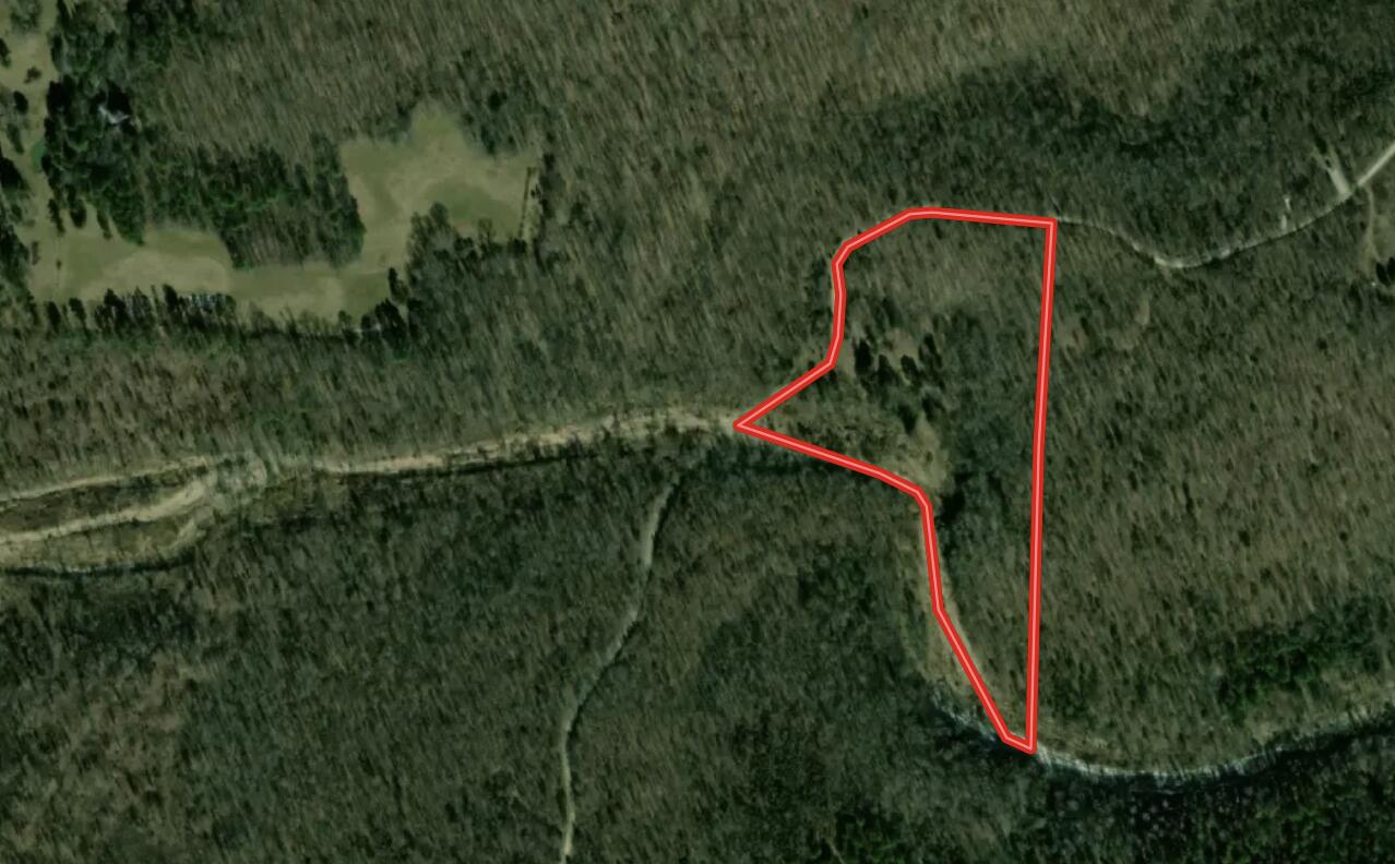 Photo 2 - Land for sale – 000  County Road 2661   Mountain View, MO