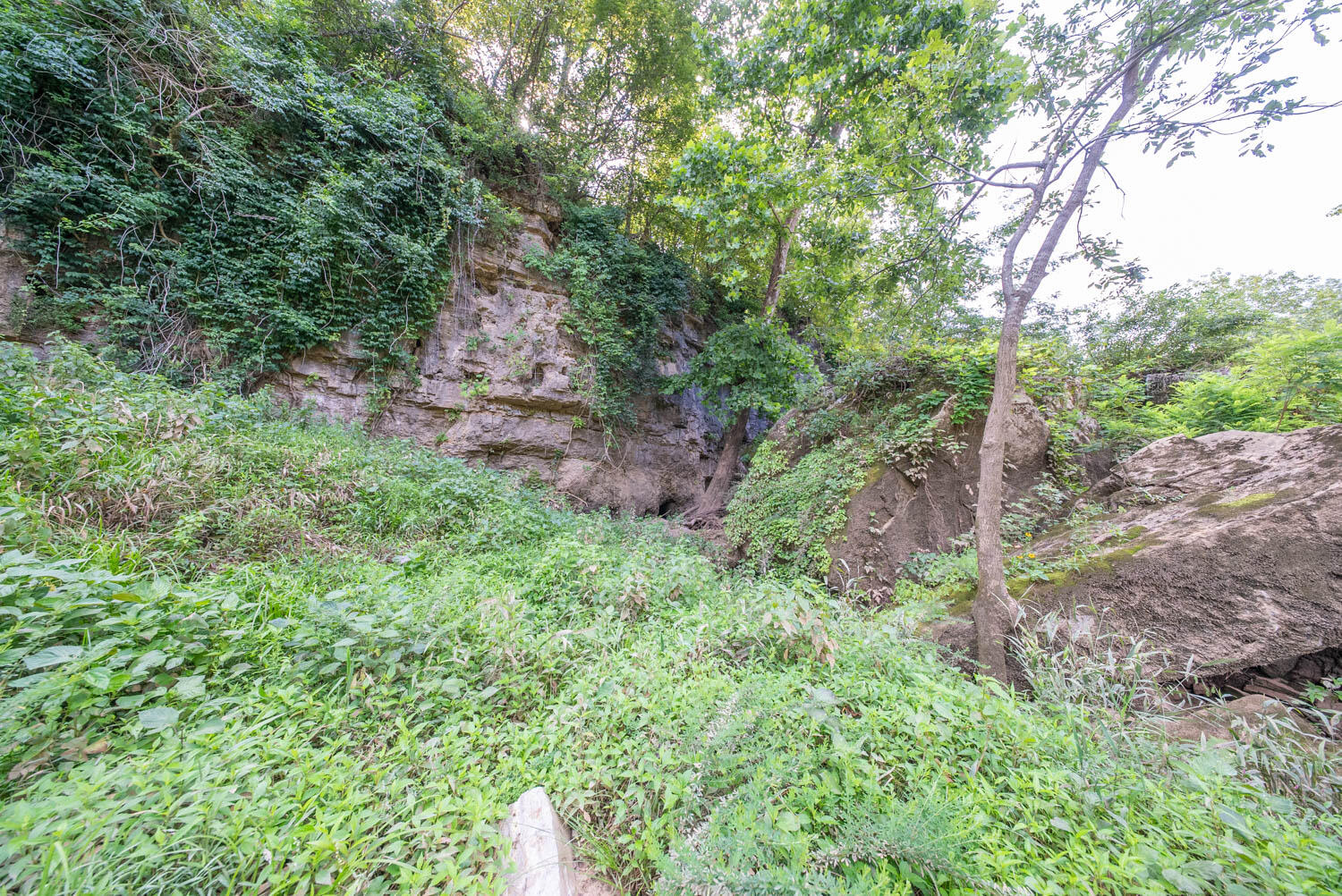 Photo 42 - Land for sale – 000  County Road 2661   Mountain View, MO