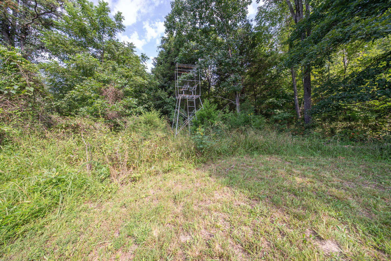 Photo 41 - Land for sale – 000  County Road 2661   Mountain View, MO