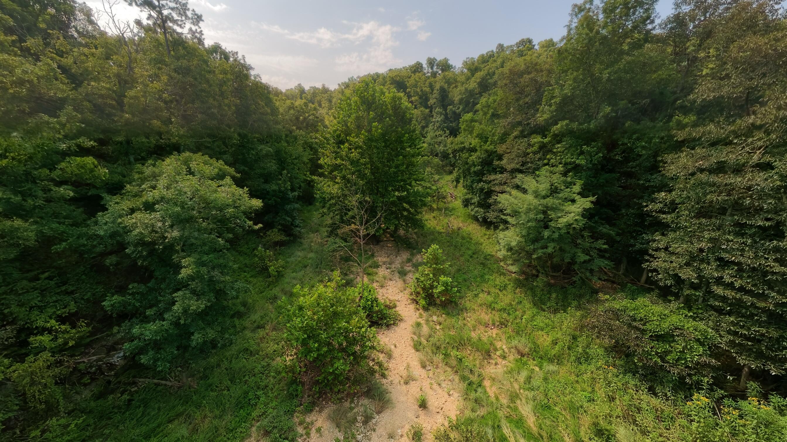 Photo 25 - Land for sale – 000  County Road 2661   Mountain View, MO