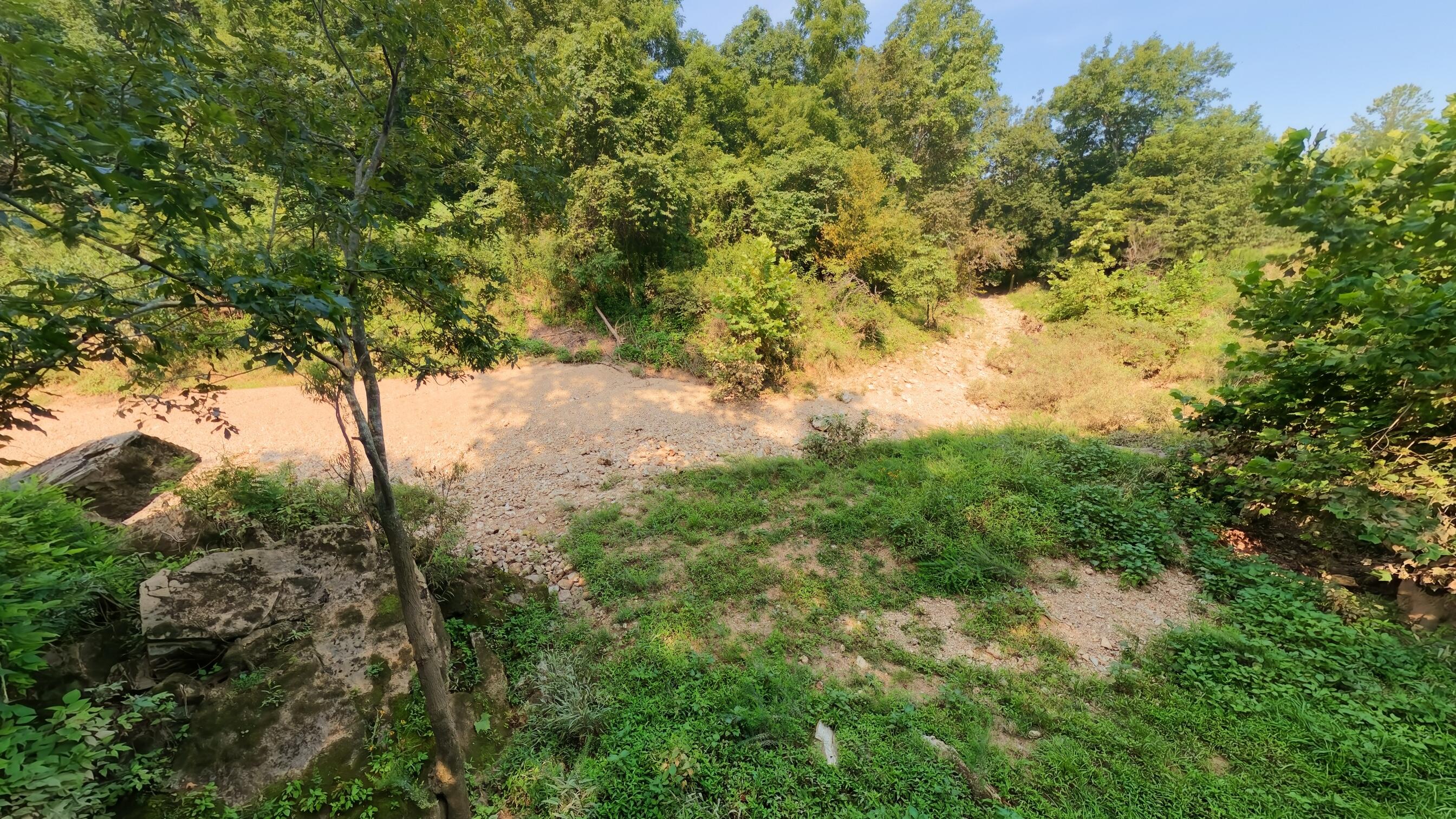 Photo 30 - Land for sale – 000  County Road 2661   Mountain View, MO