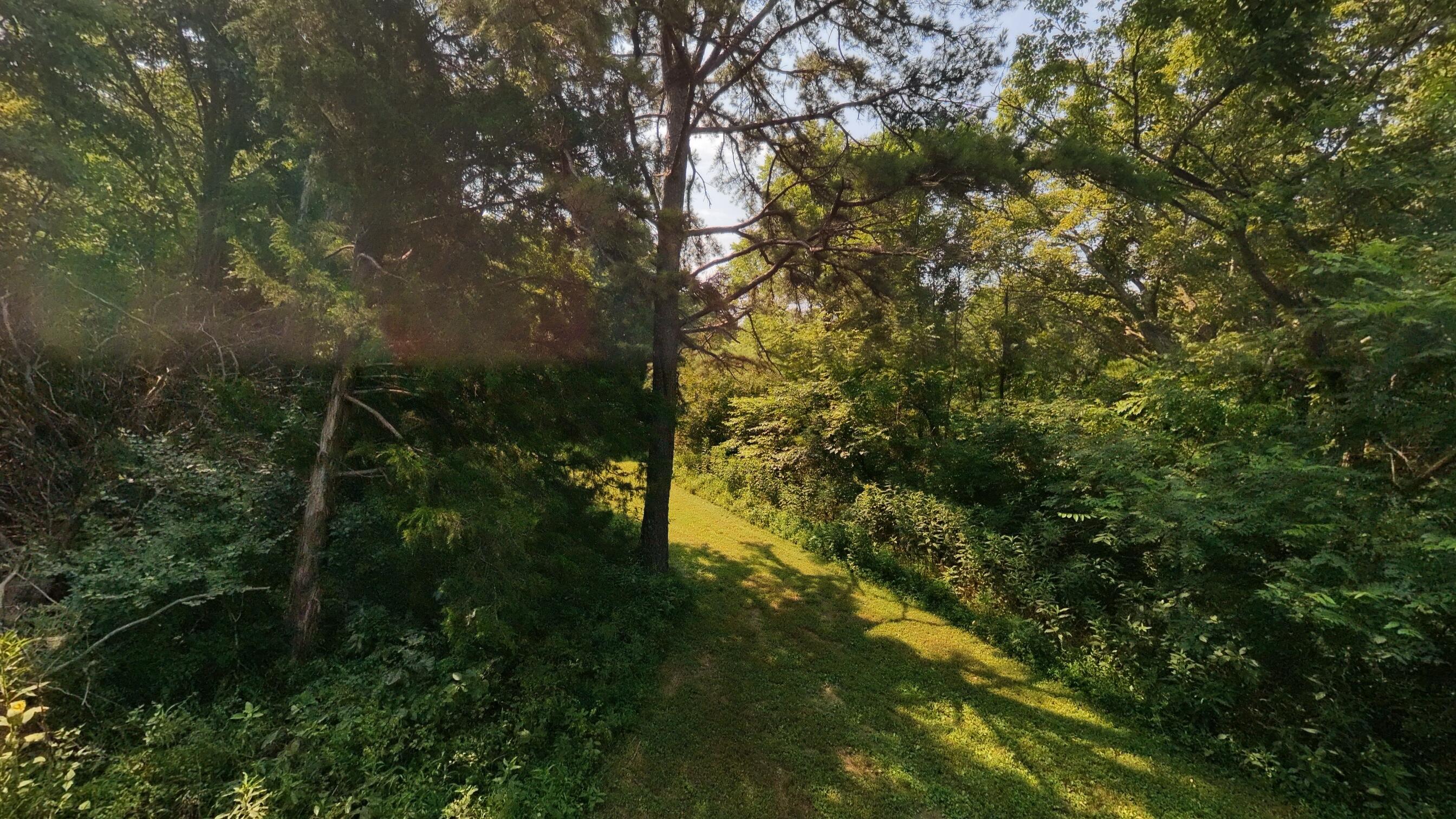 Photo 34 - Land for sale – 000  County Road 2661   Mountain View, MO