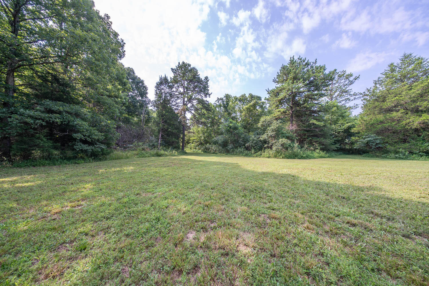 Photo 11 - Land for sale – 000  County Road 2661   Mountain View, MO