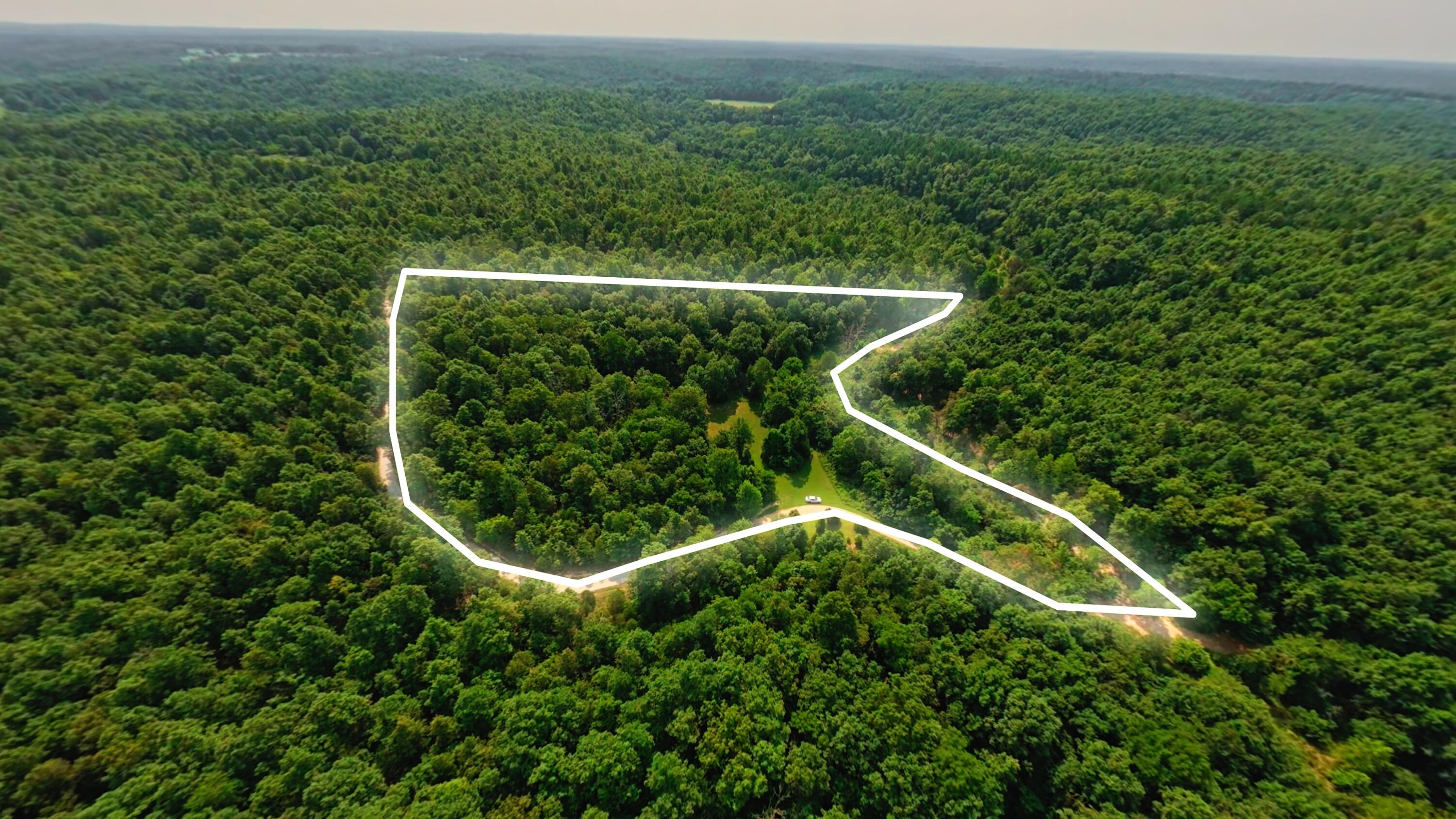 Land for sale – 000  County Road 2661   Mountain View, MO