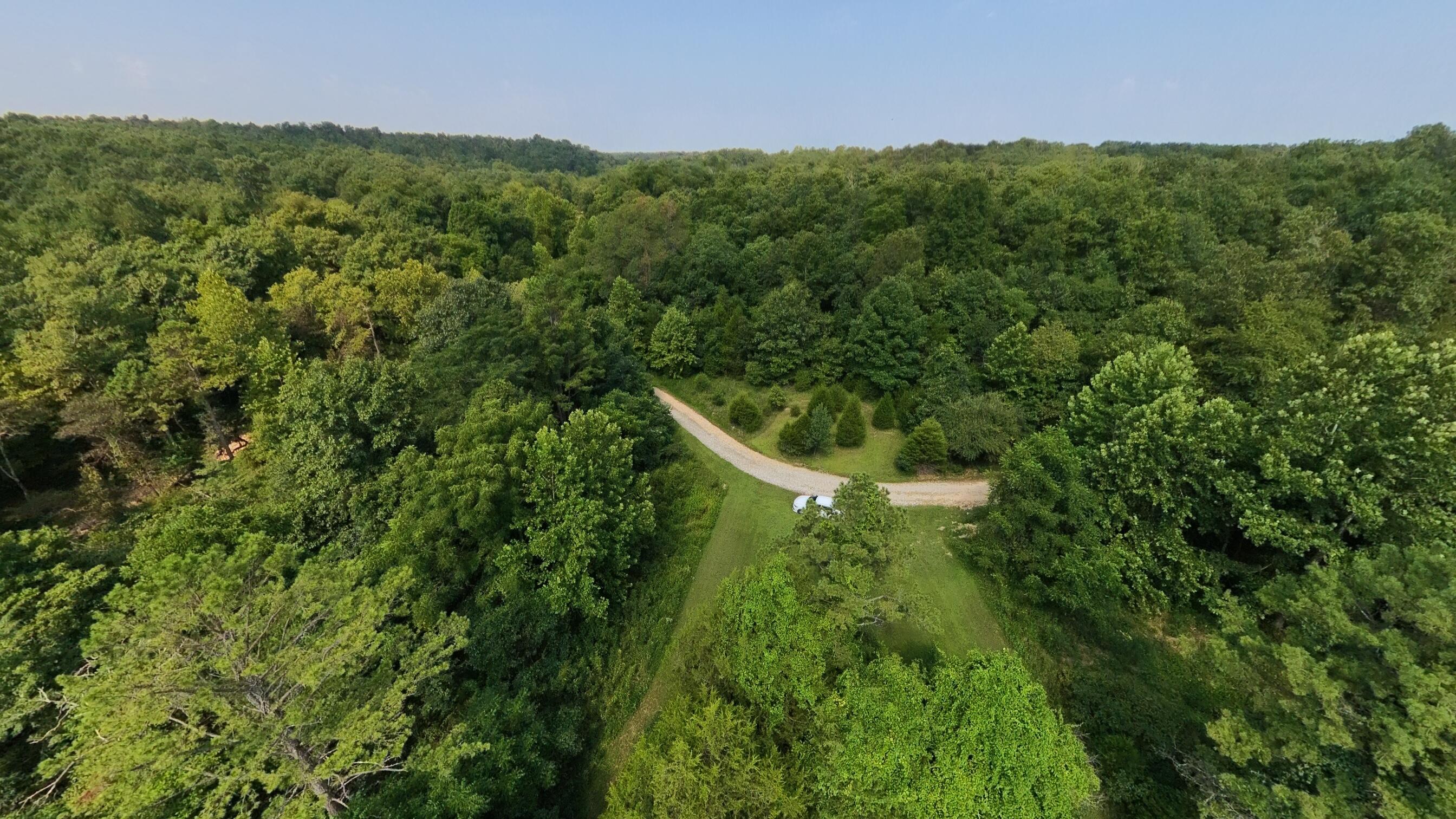 Photo 46 - Land for sale – 000  County Road 2661   Mountain View, MO