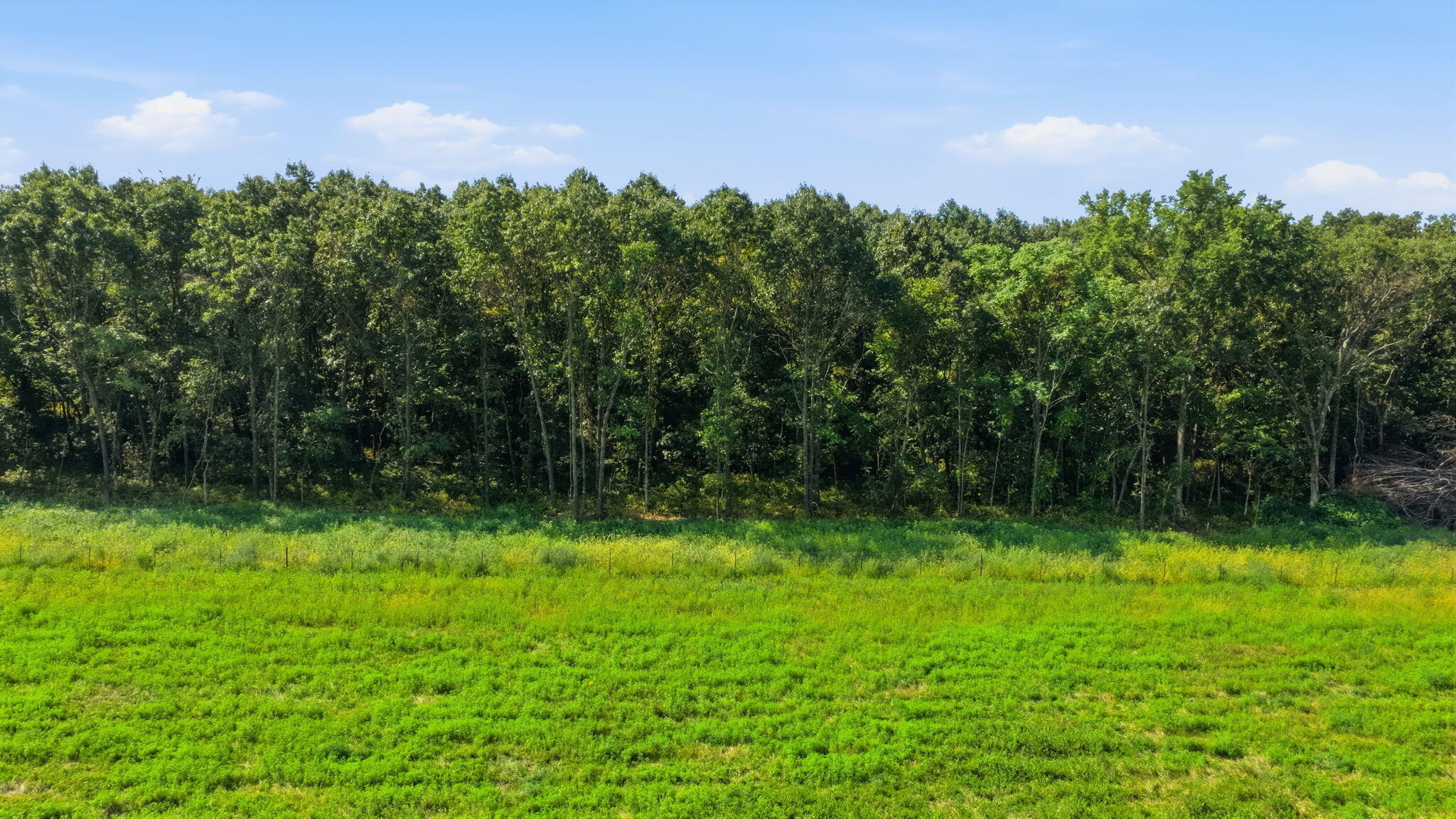 Photo 13 - Land for sale – 169 E 334th Road  Humansville, MO