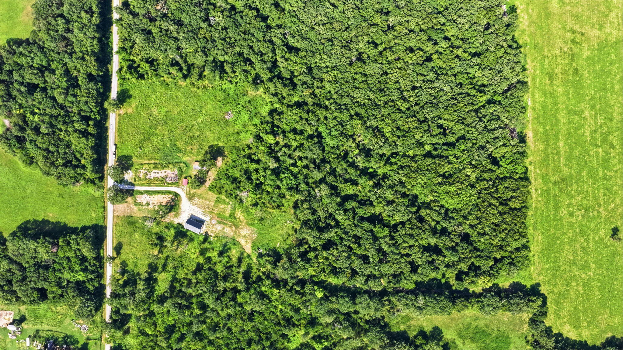 Photo 9 - Land for sale – 169 E 334th Road  Humansville, MO