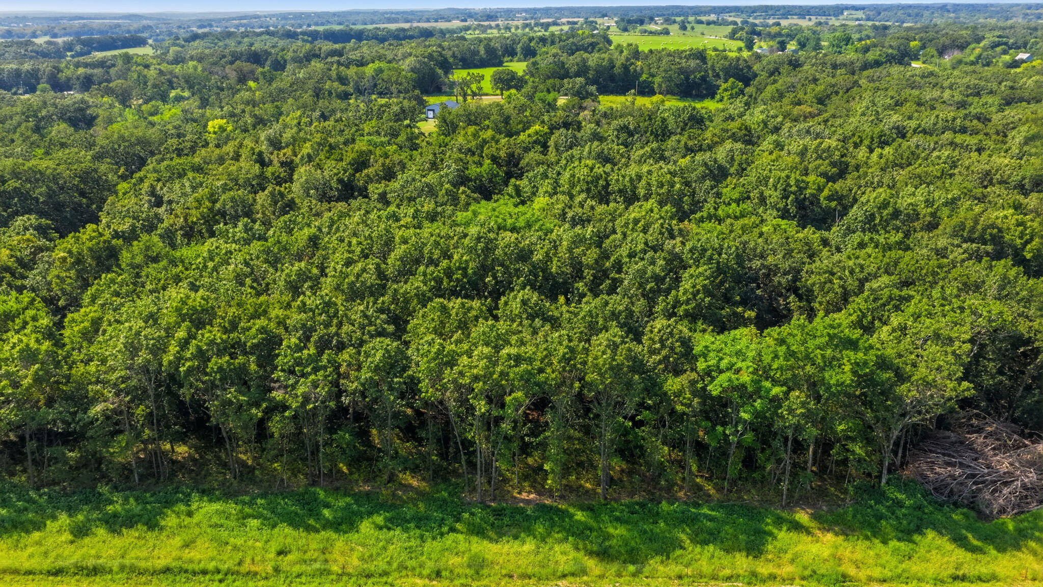 Photo 8 - Land for sale – 169 E 334th Road  Humansville, MO
