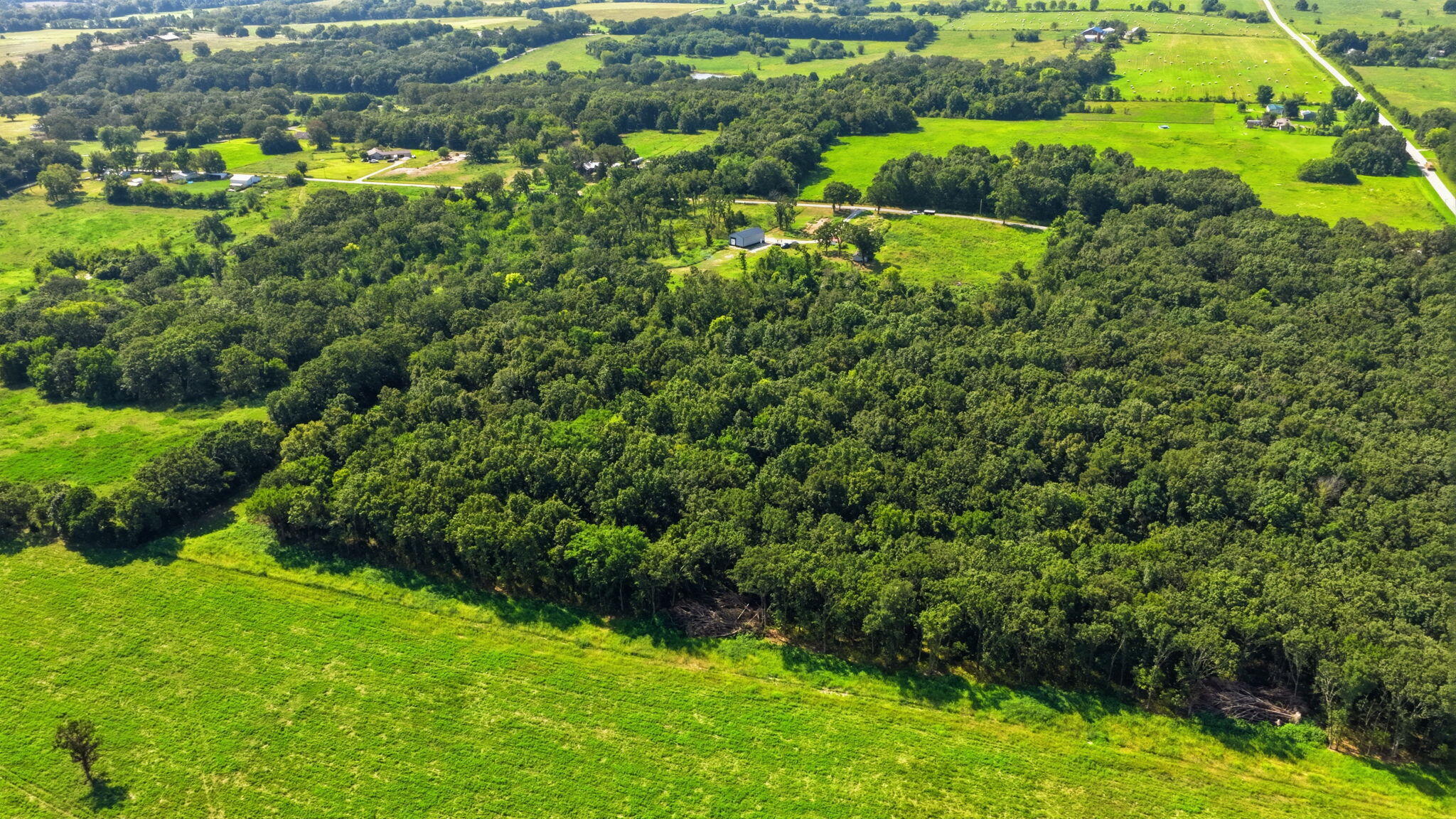 Photo 10 - Land for sale – 169 E 334th Road  Humansville, MO